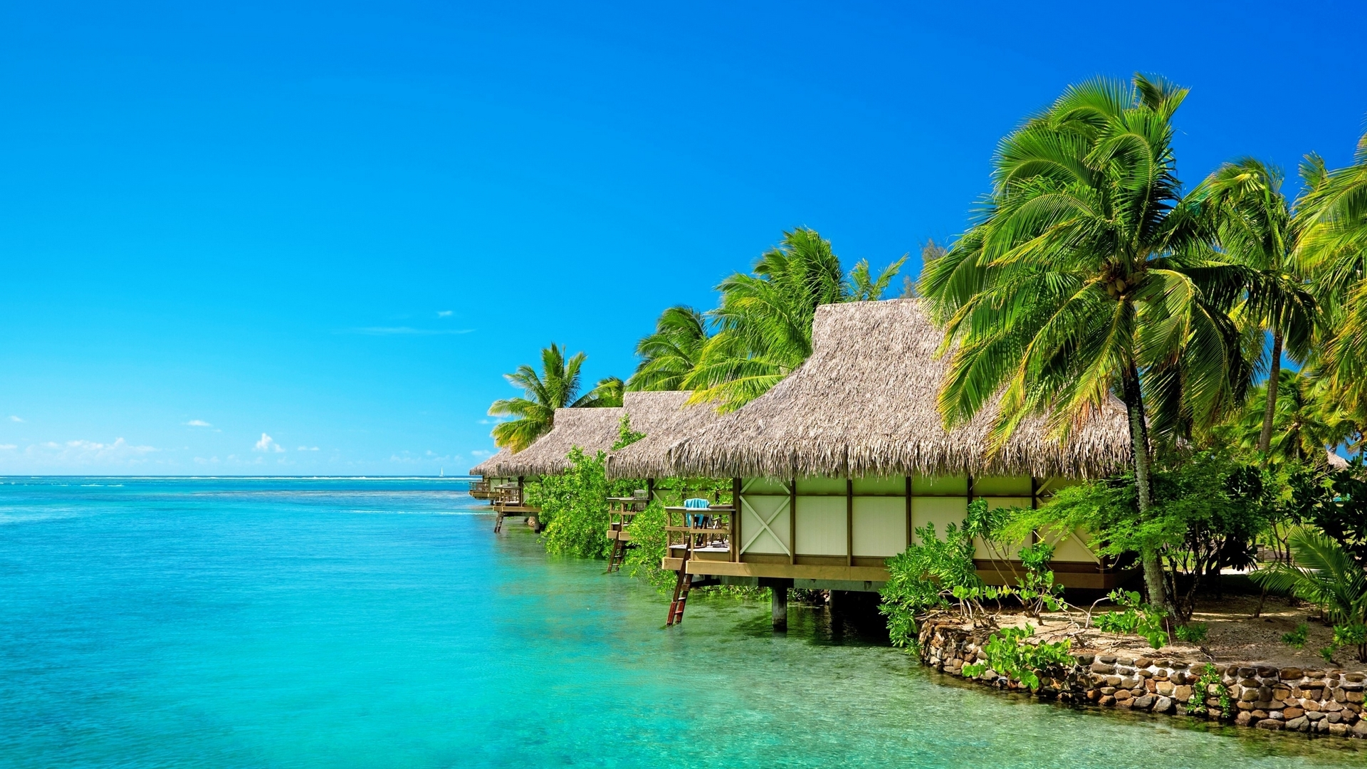 cabins, sky, coast, sea, palms, HD Wallpaper