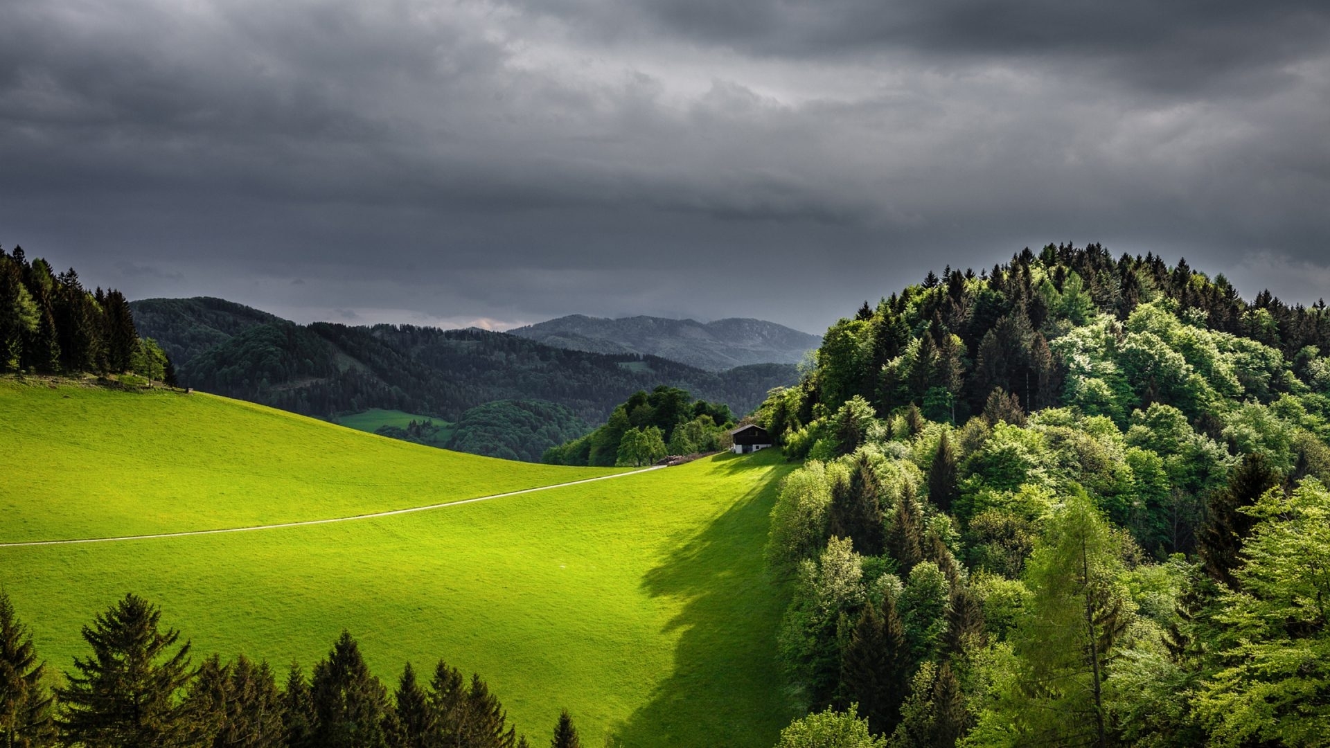 forest, clouds, green, mountains, dark, nature, wooden, field, landscape, HD Wallpaper