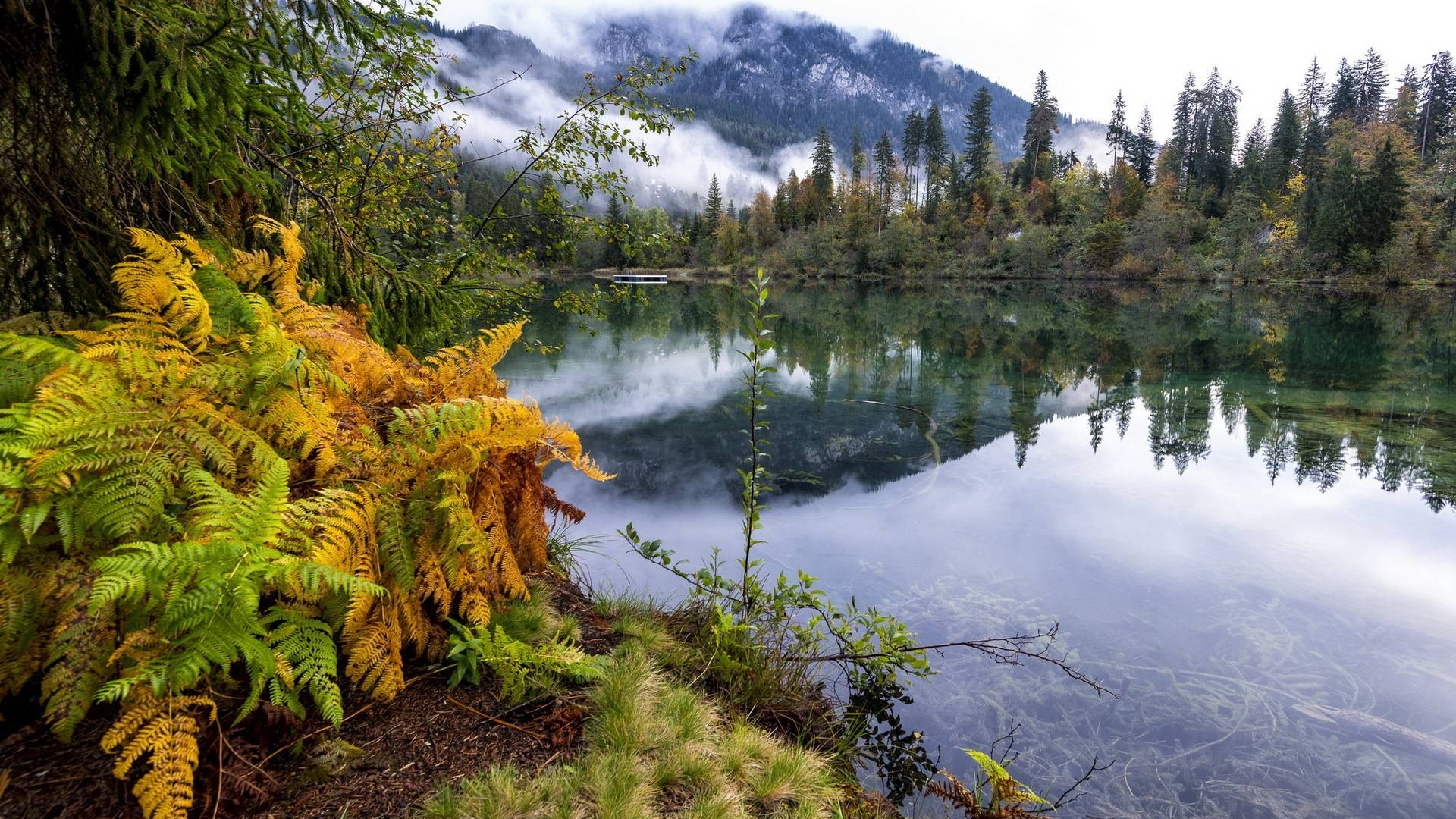 forest, cool, nature, fun, lake, HD Wallpaper