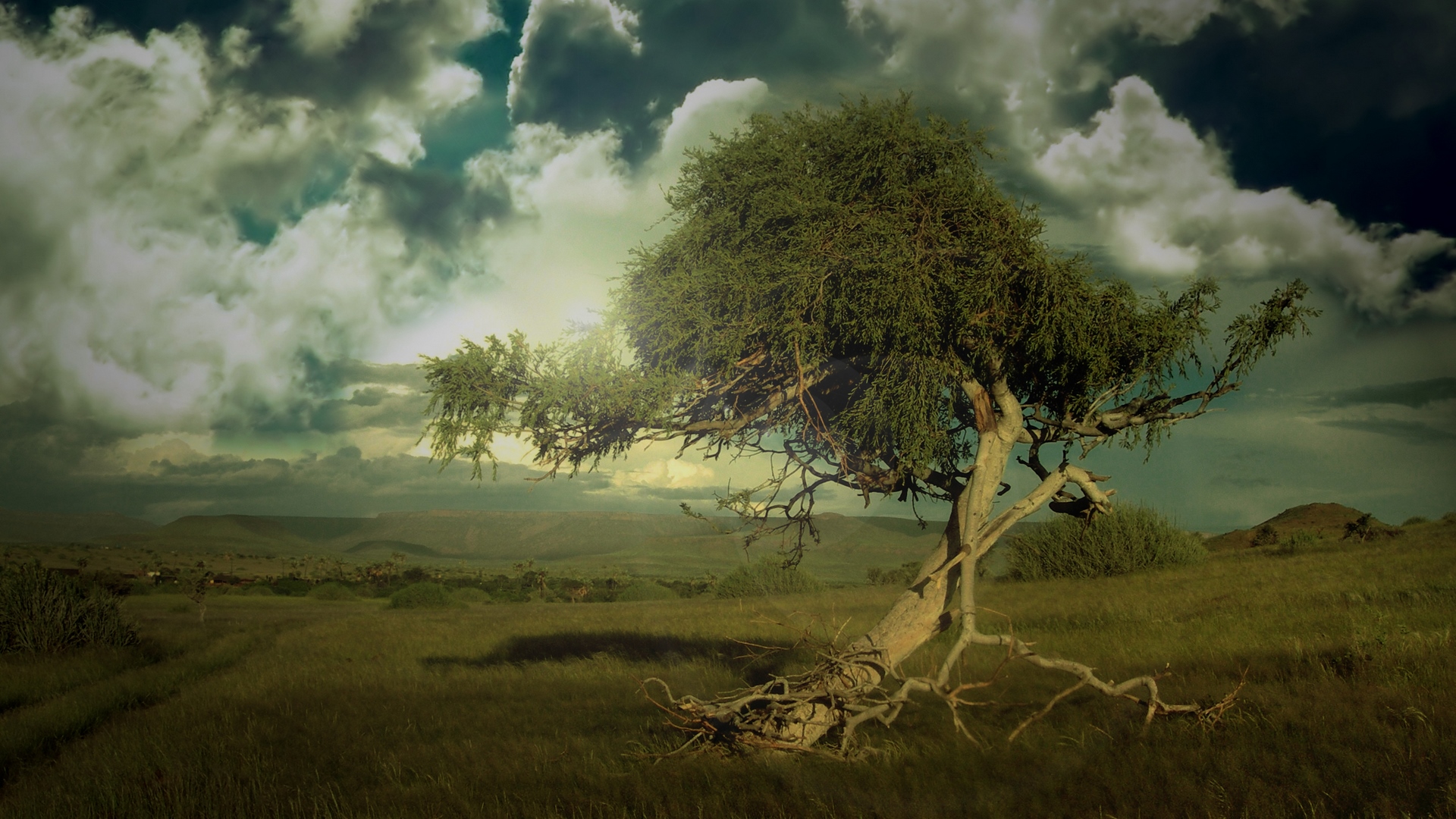lonely, HD Wallpaper