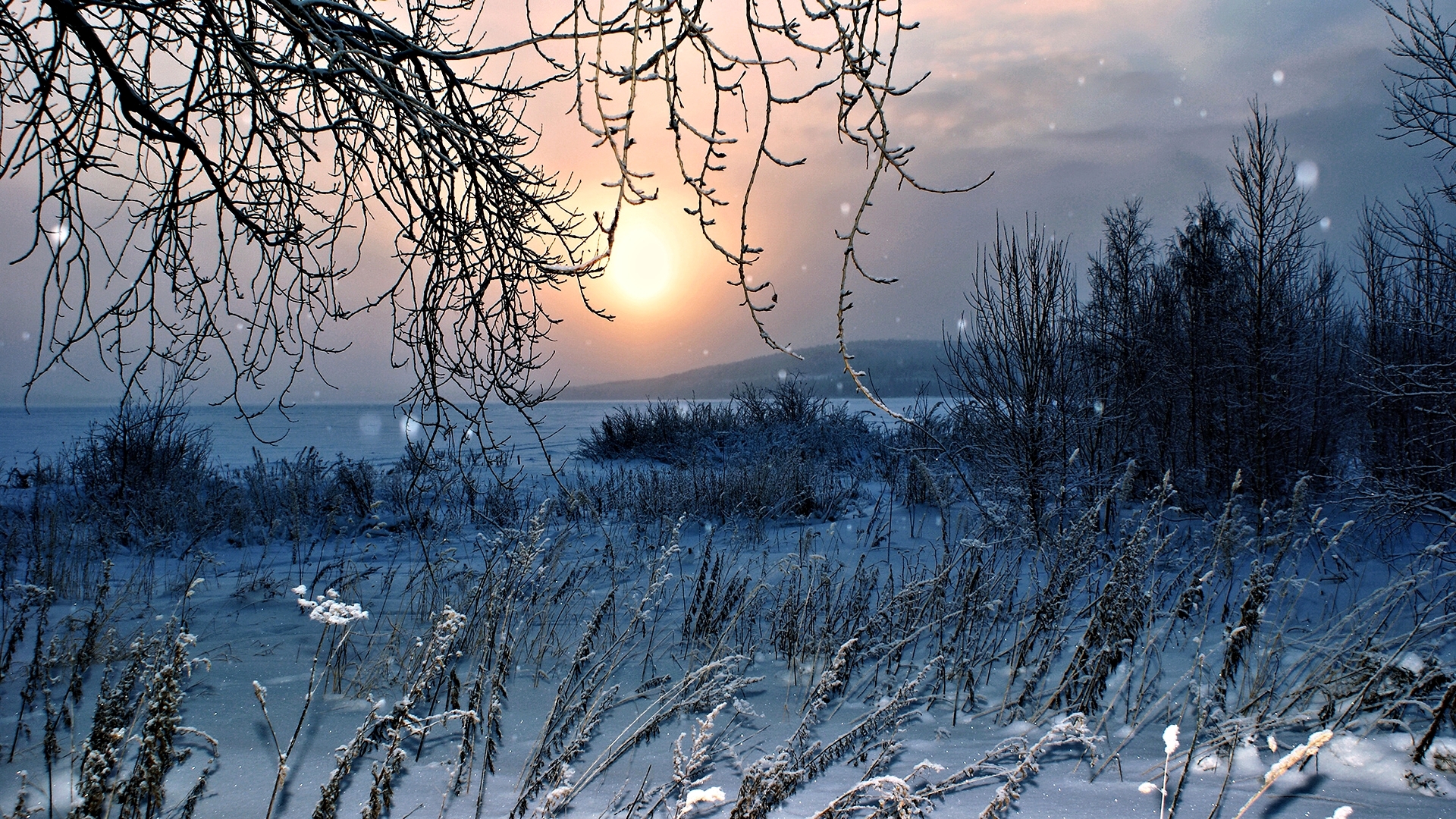 lake, nature, mist, winter, HD Wallpaper