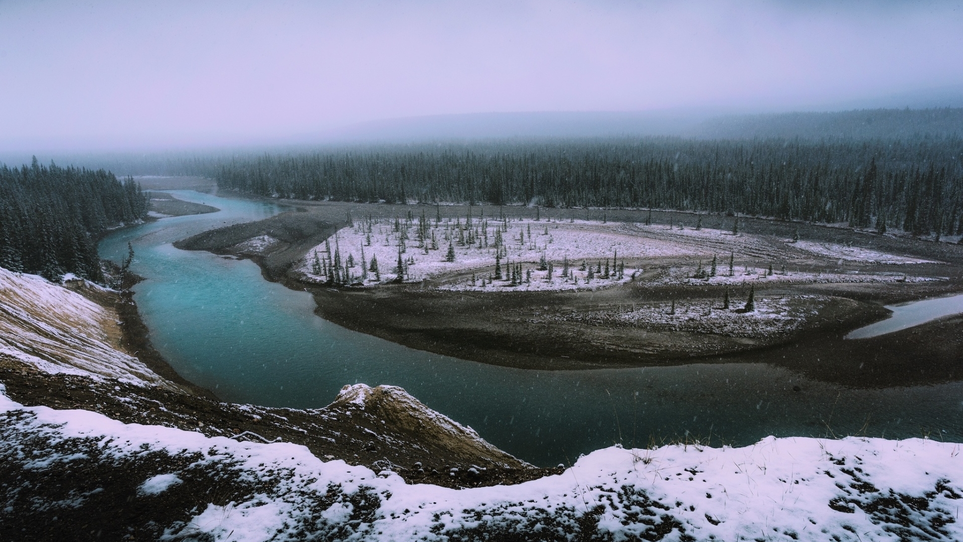 tree, nature, snow, river, HD Wallpaper