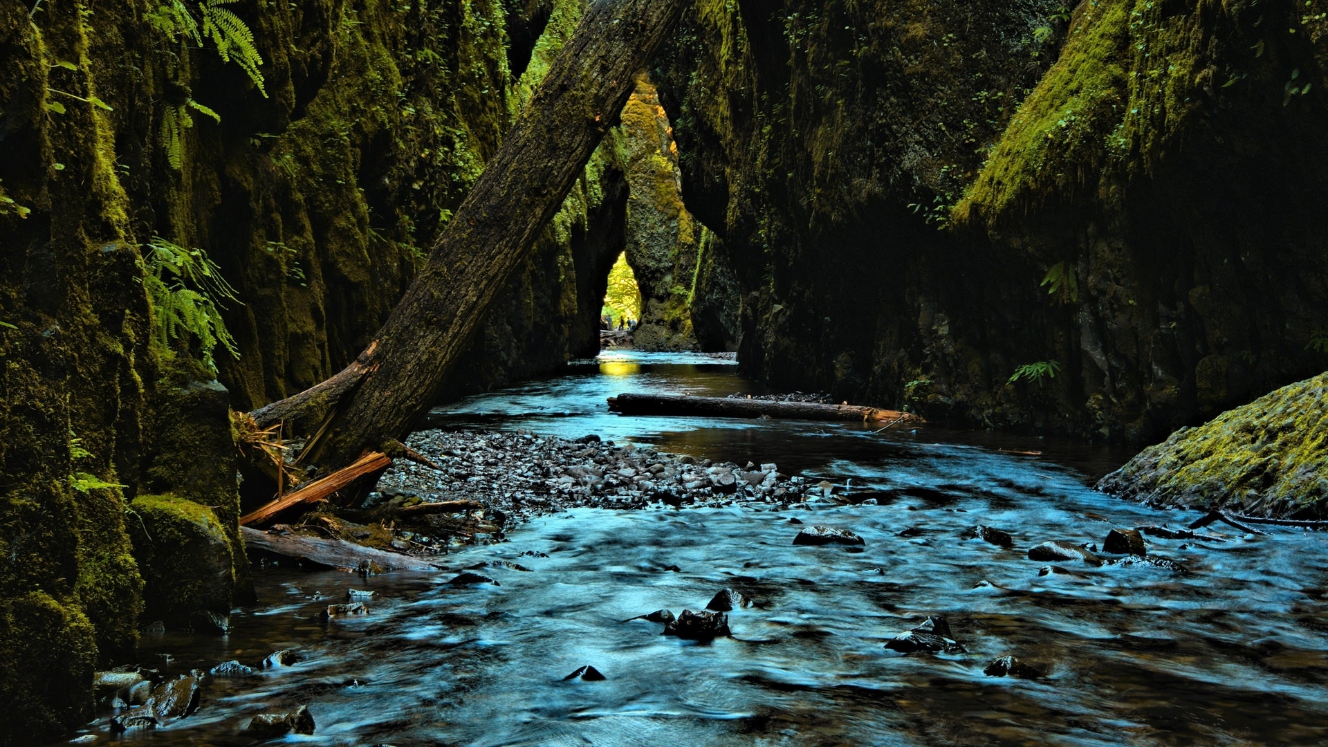 nature, river, water, trees, HD Wallpaper