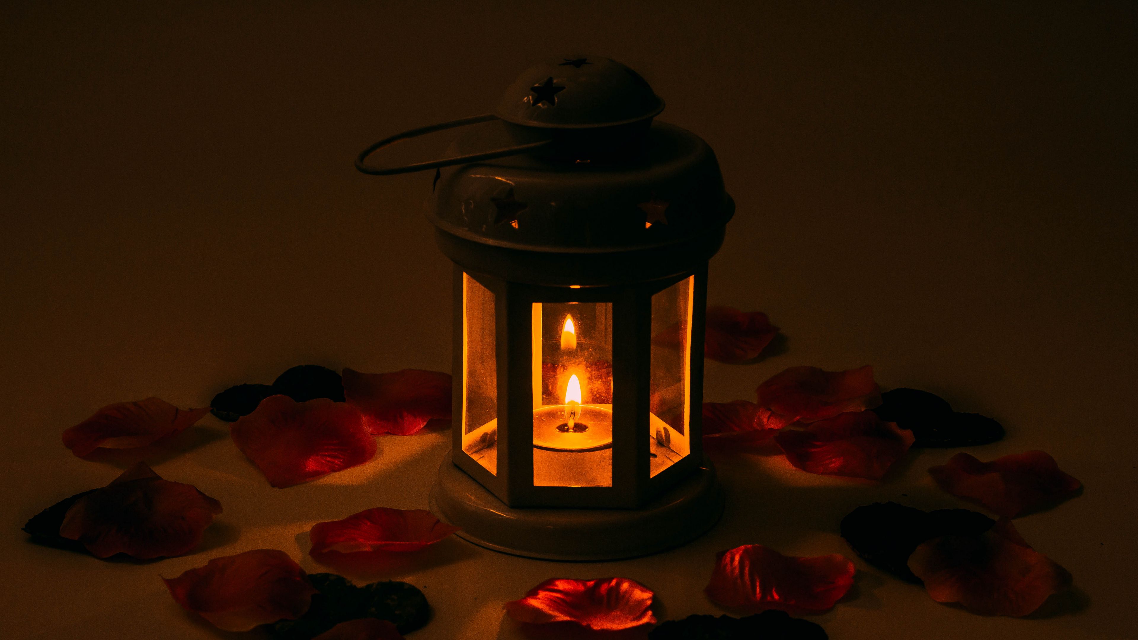 candlestick, candle, petals, 4k, HD Wallpaper