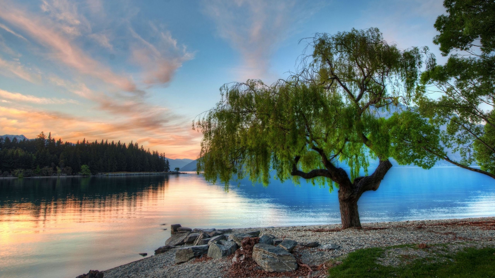 forest, mountains, nature, trees, sky, lake, HD Wallpaper