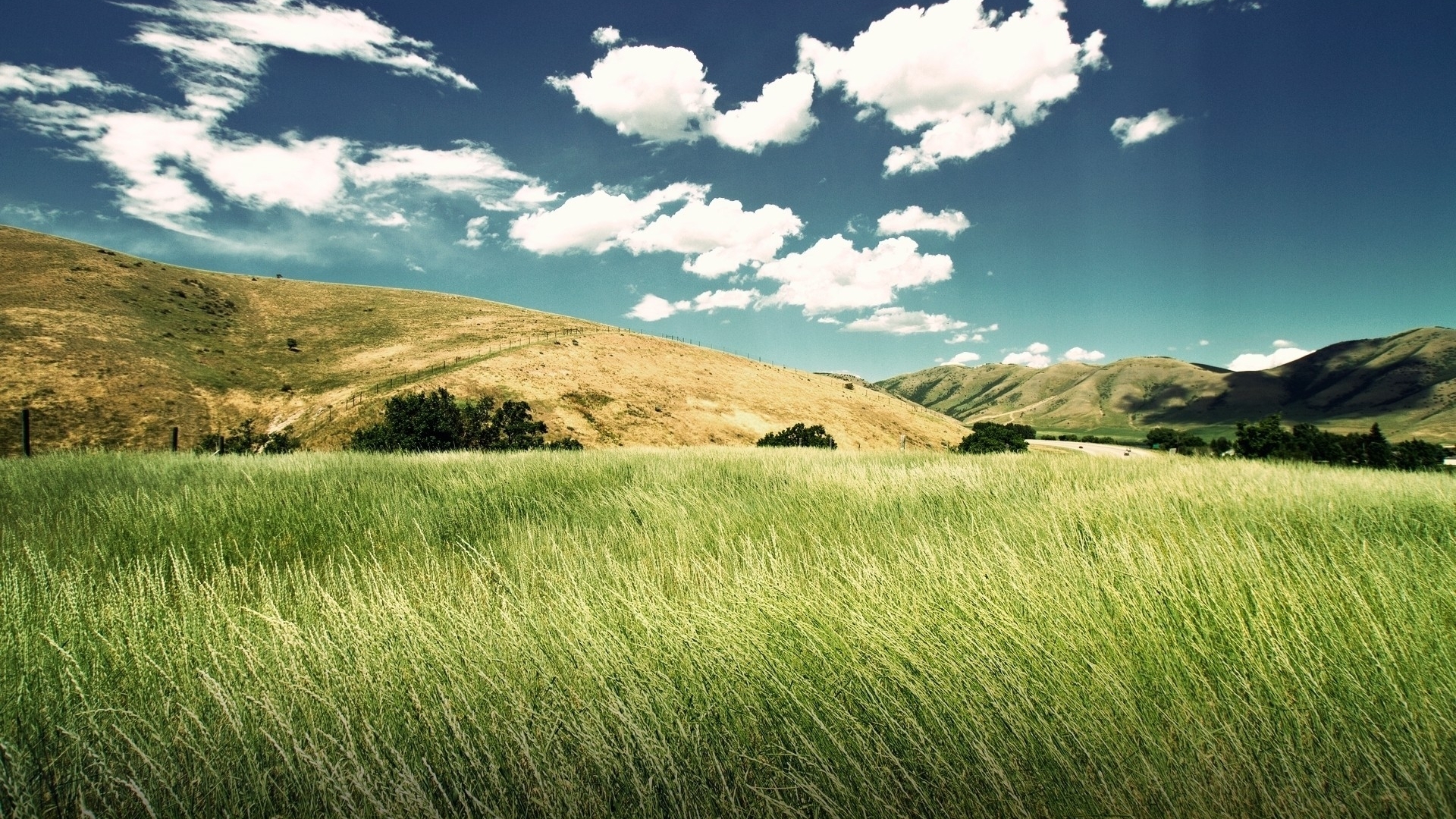mountain, nature, grass, field, HD Wallpaper