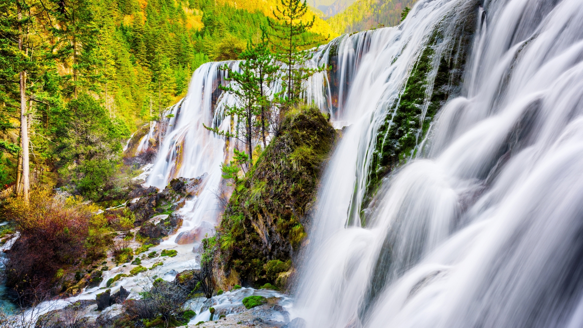 forest, fall, autumn, waterfall, nature, trees, HD Wallpaper