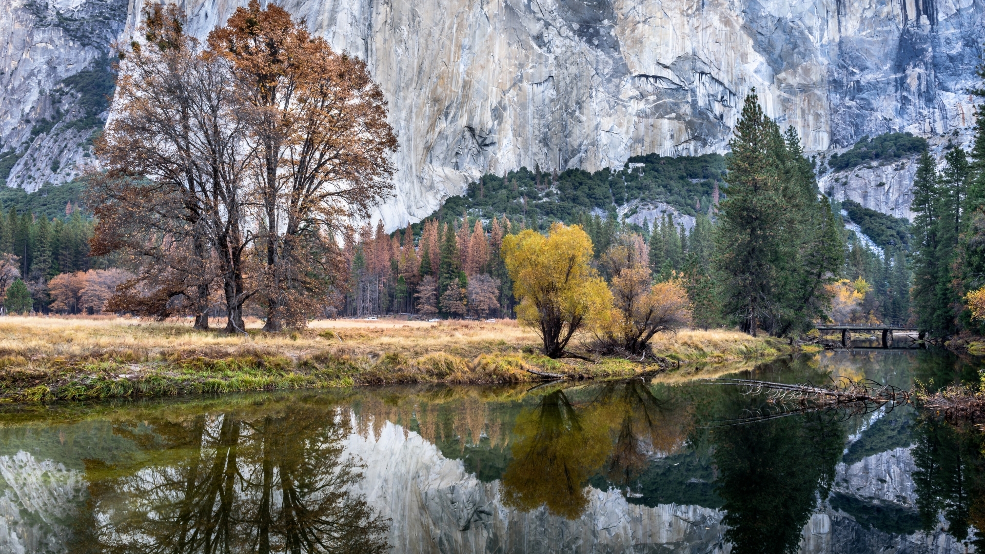 reflection, snow, wintwer, nature, lake, HD Wallpaper