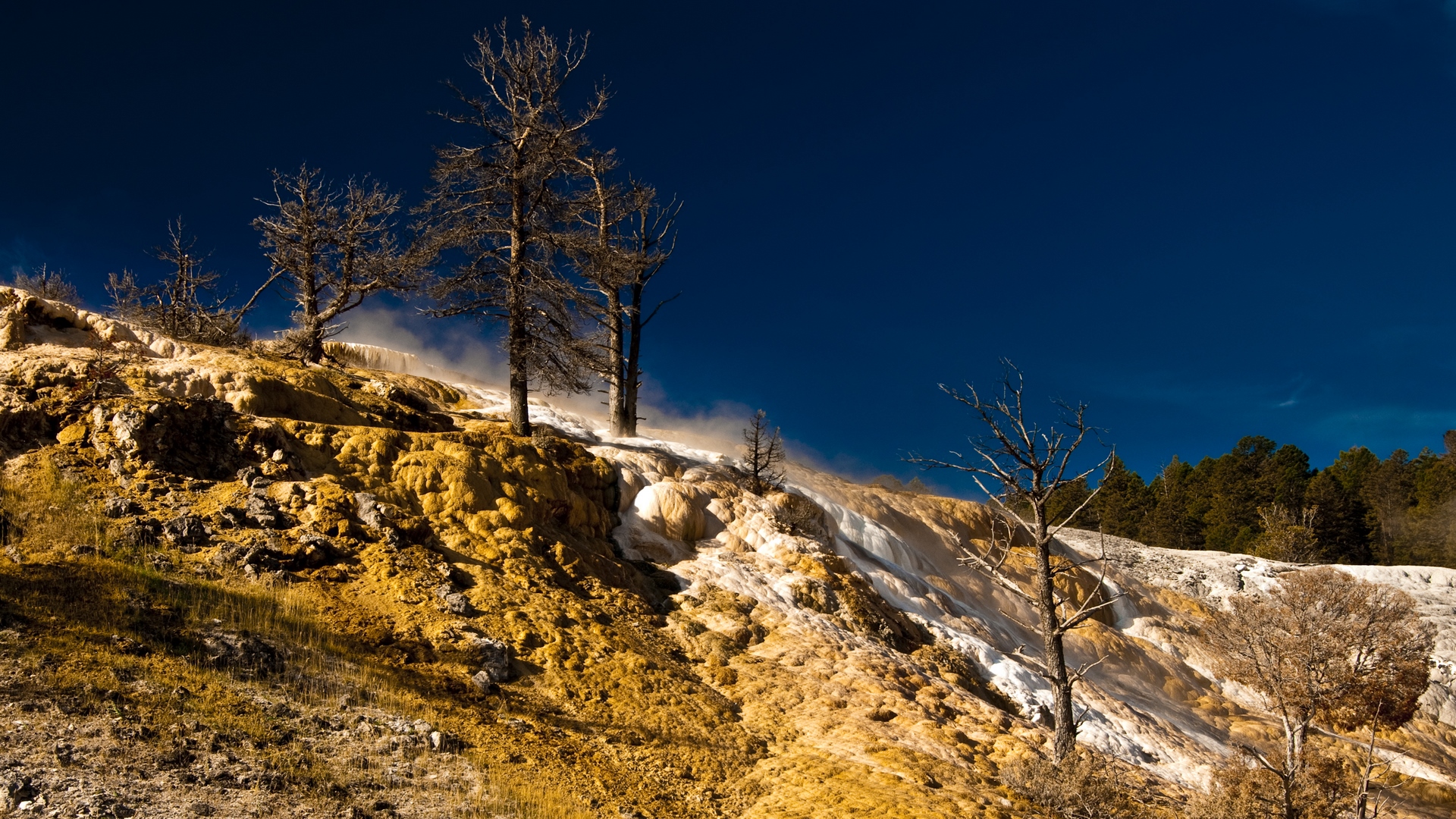 dlbdata, tree, minerals, water, yellowstone, hdr, springs, HD Wallpaper