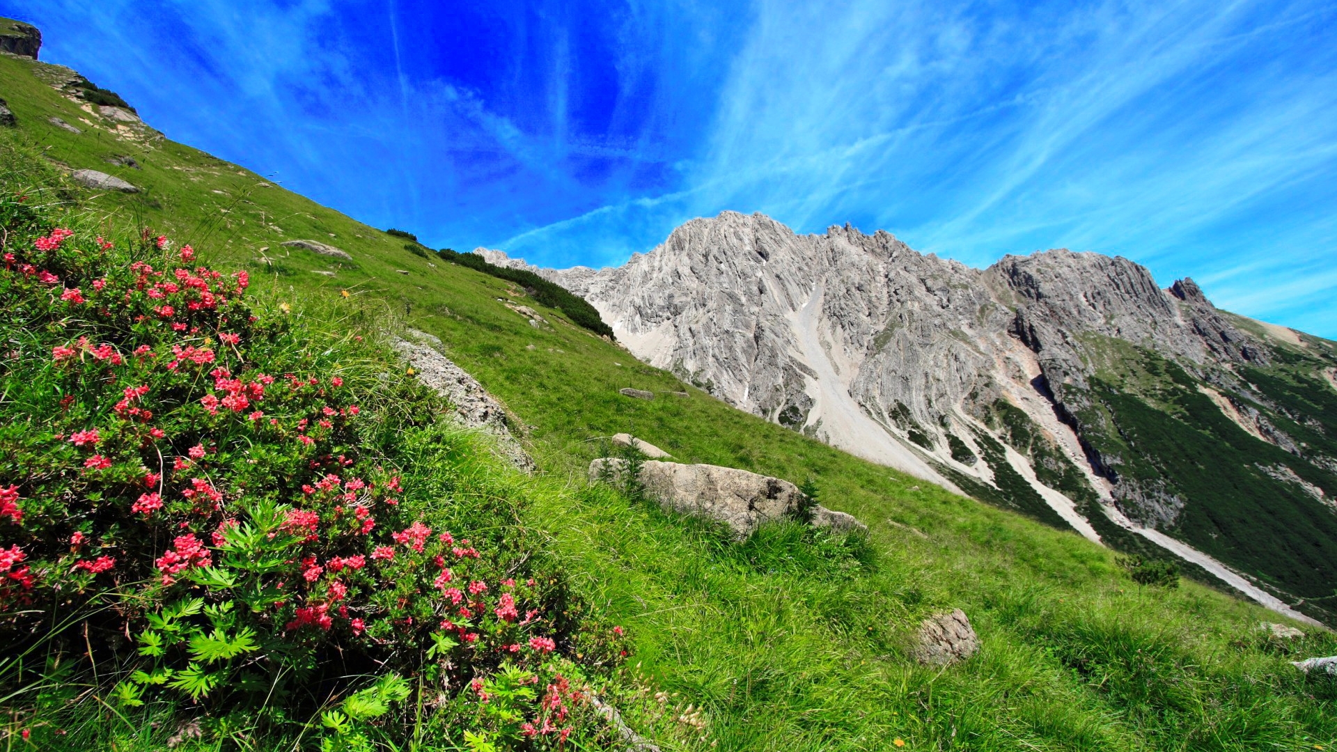 rocks, greenery, beautiful, sky, mountain, gras, wildflowers, summer, slope, hillside, landscape, HD Wallpaper