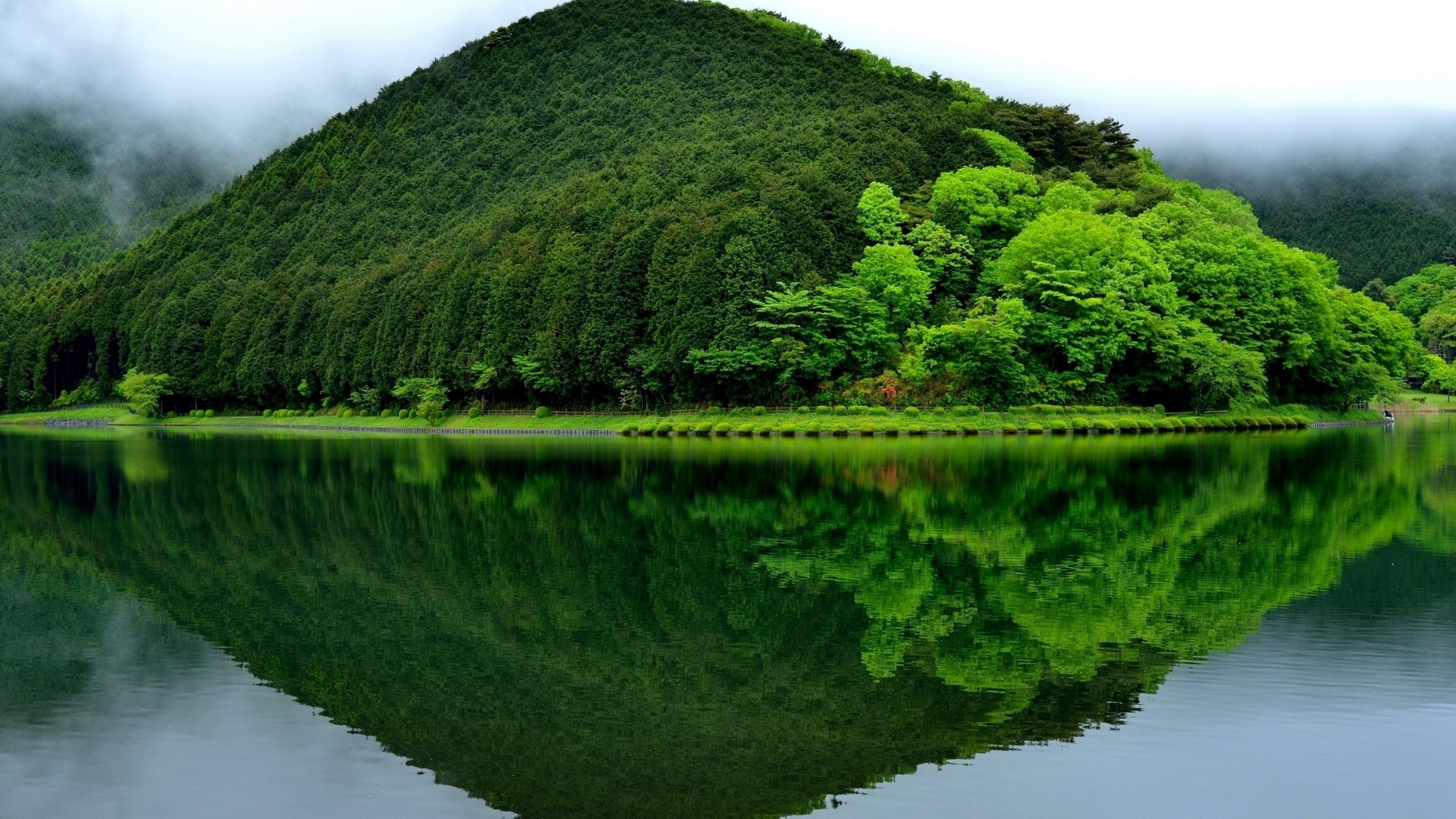 hill, trees, green, lake, HD Wallpaper