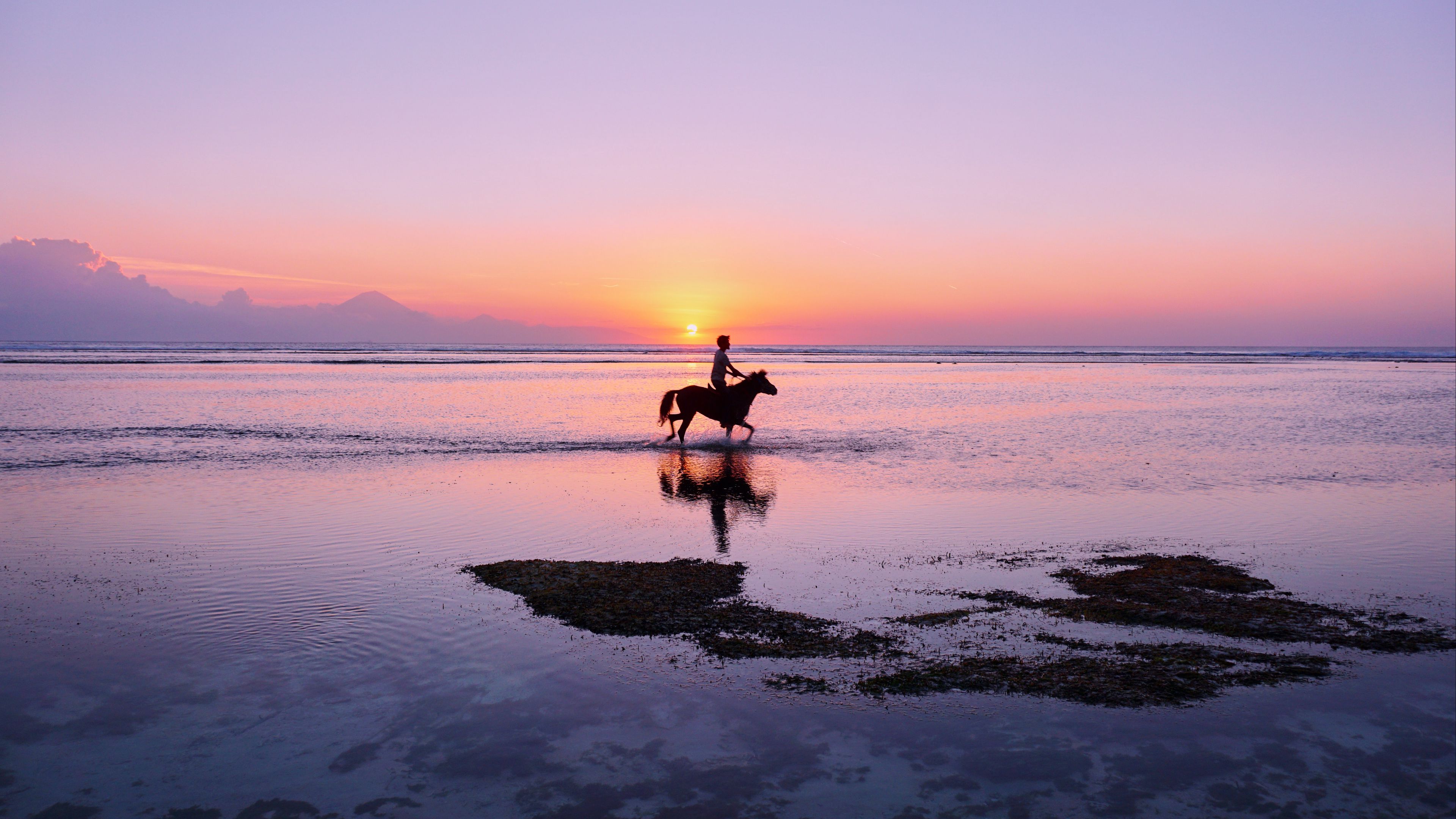 man, horse, silhouettes, ocean, coast, gili trawangan, indonesia, 4k, HD Wallpaper