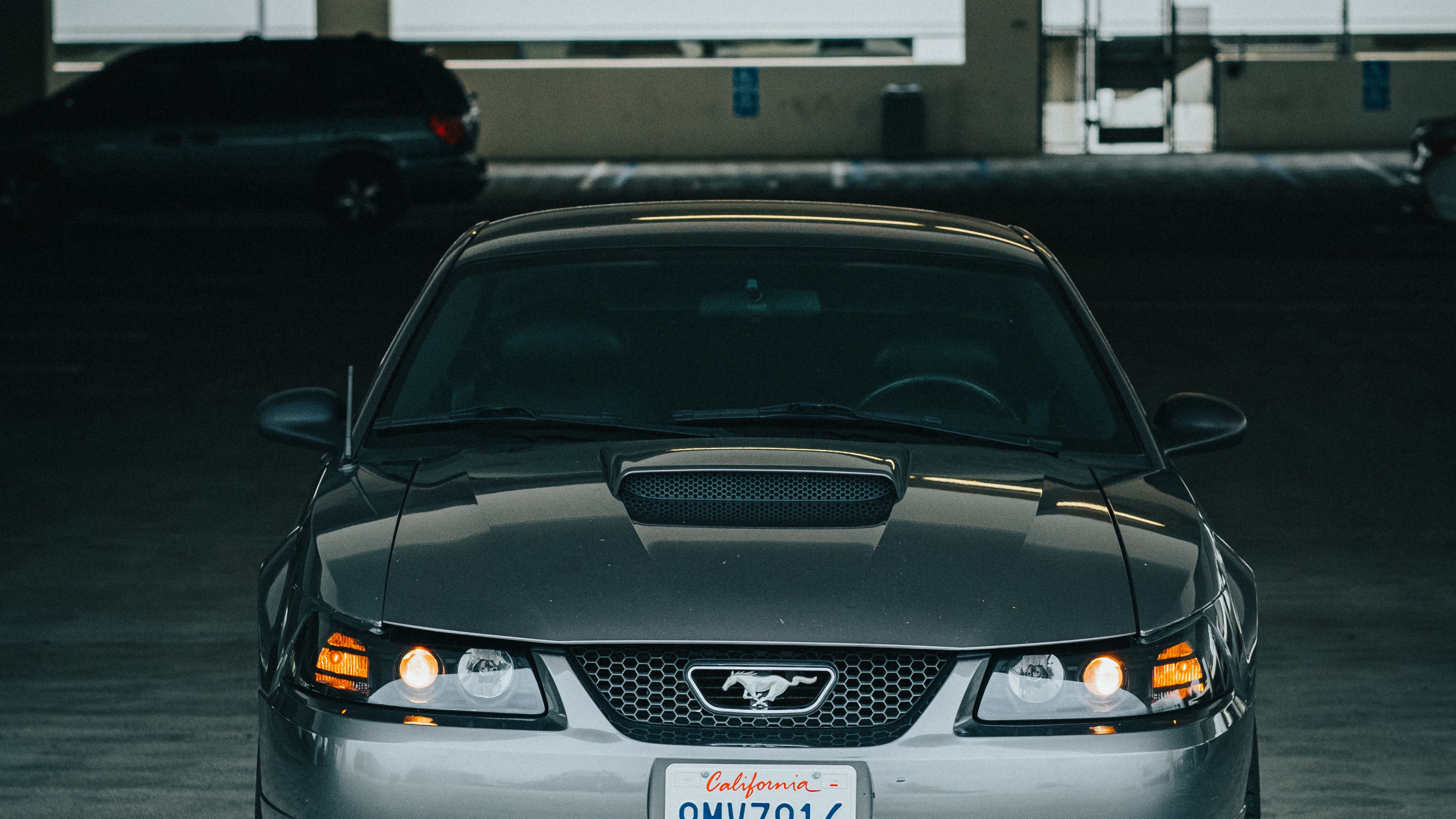 mustang, car, front view, 4k, HD Wallpaper