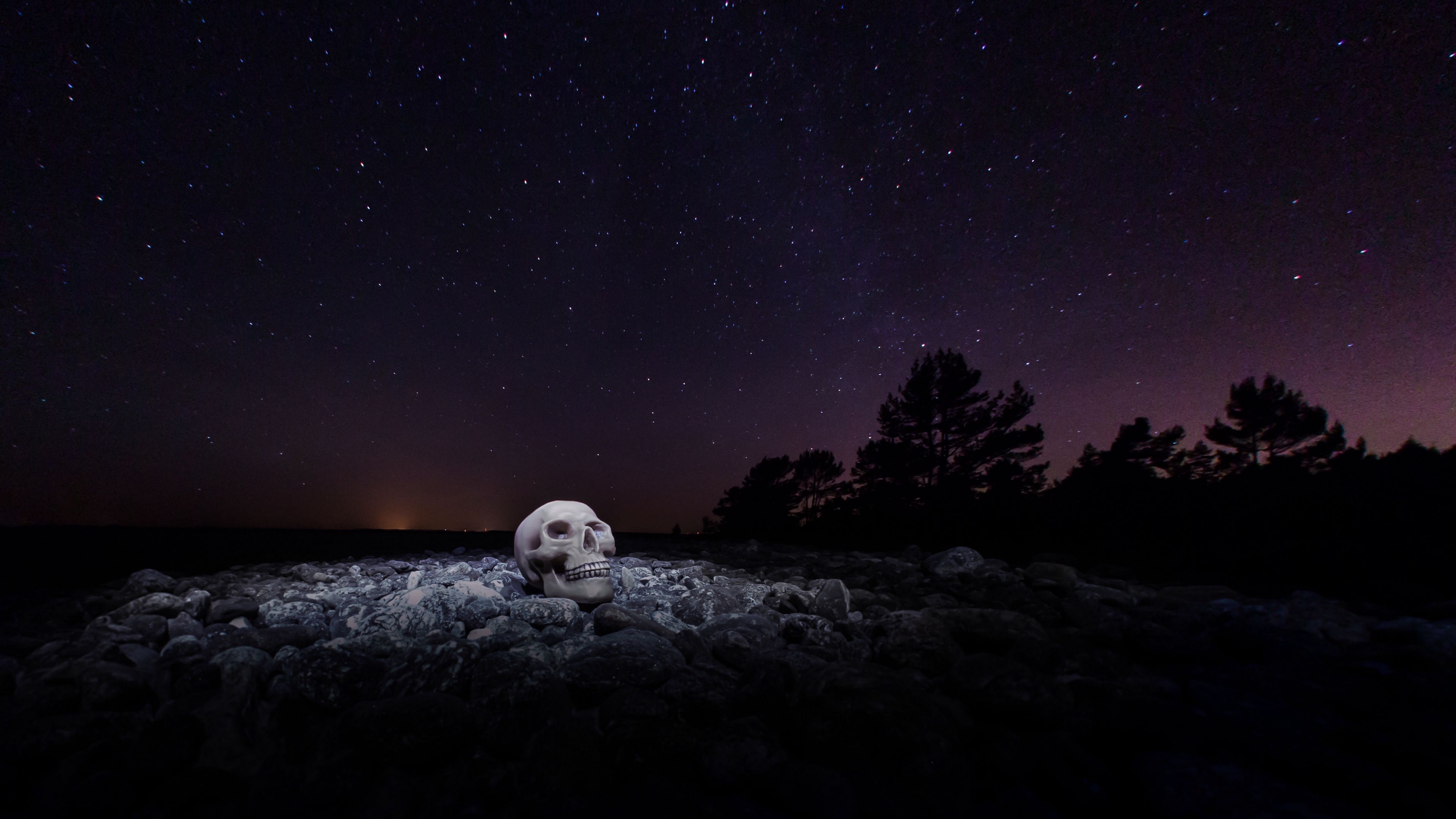skull, starry sky, stones, night, 4k, HD Wallpaper