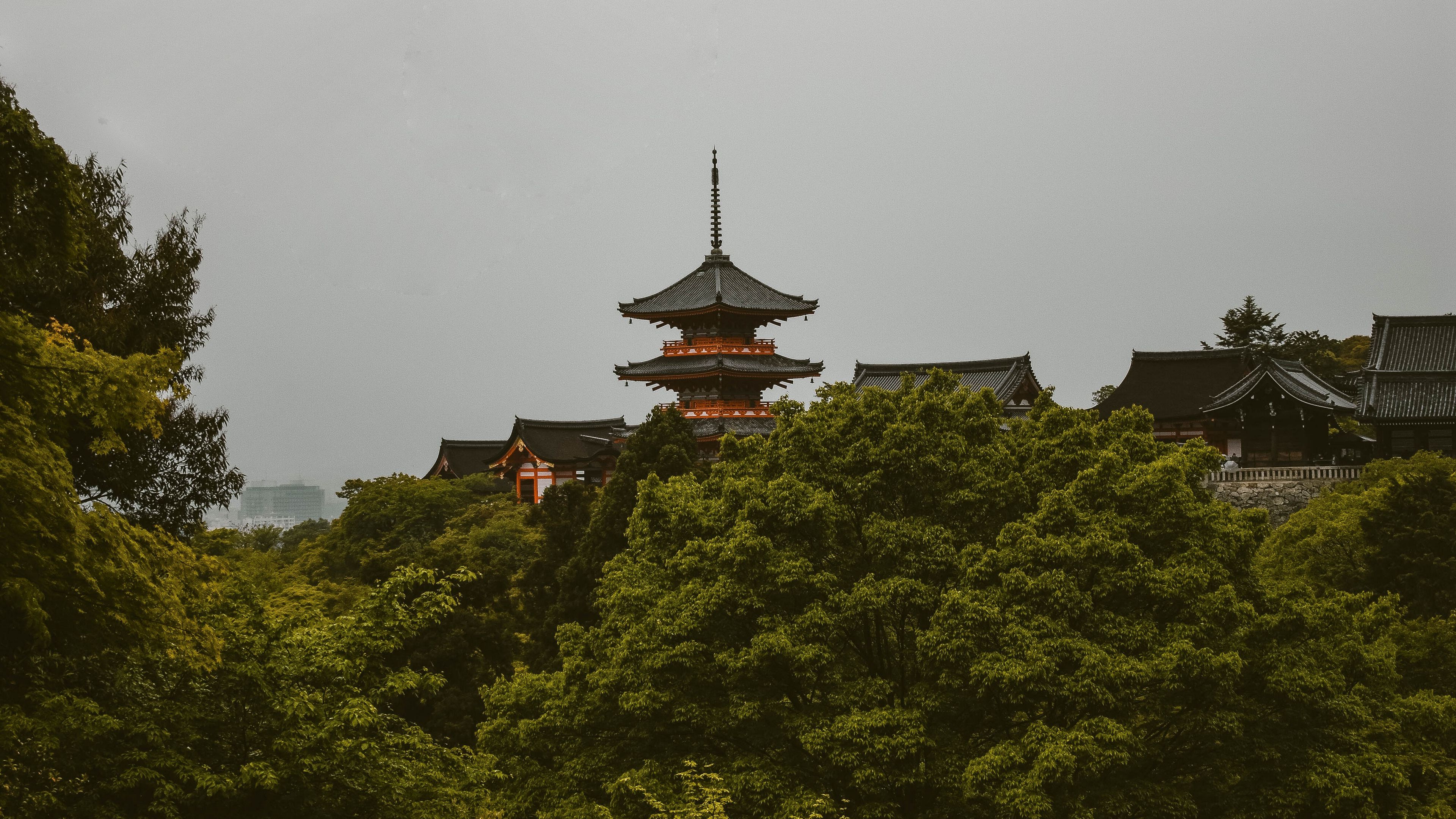 pagoda, trees, architecture, kyoto prefecture, japan, 4k, HD Wallpaper