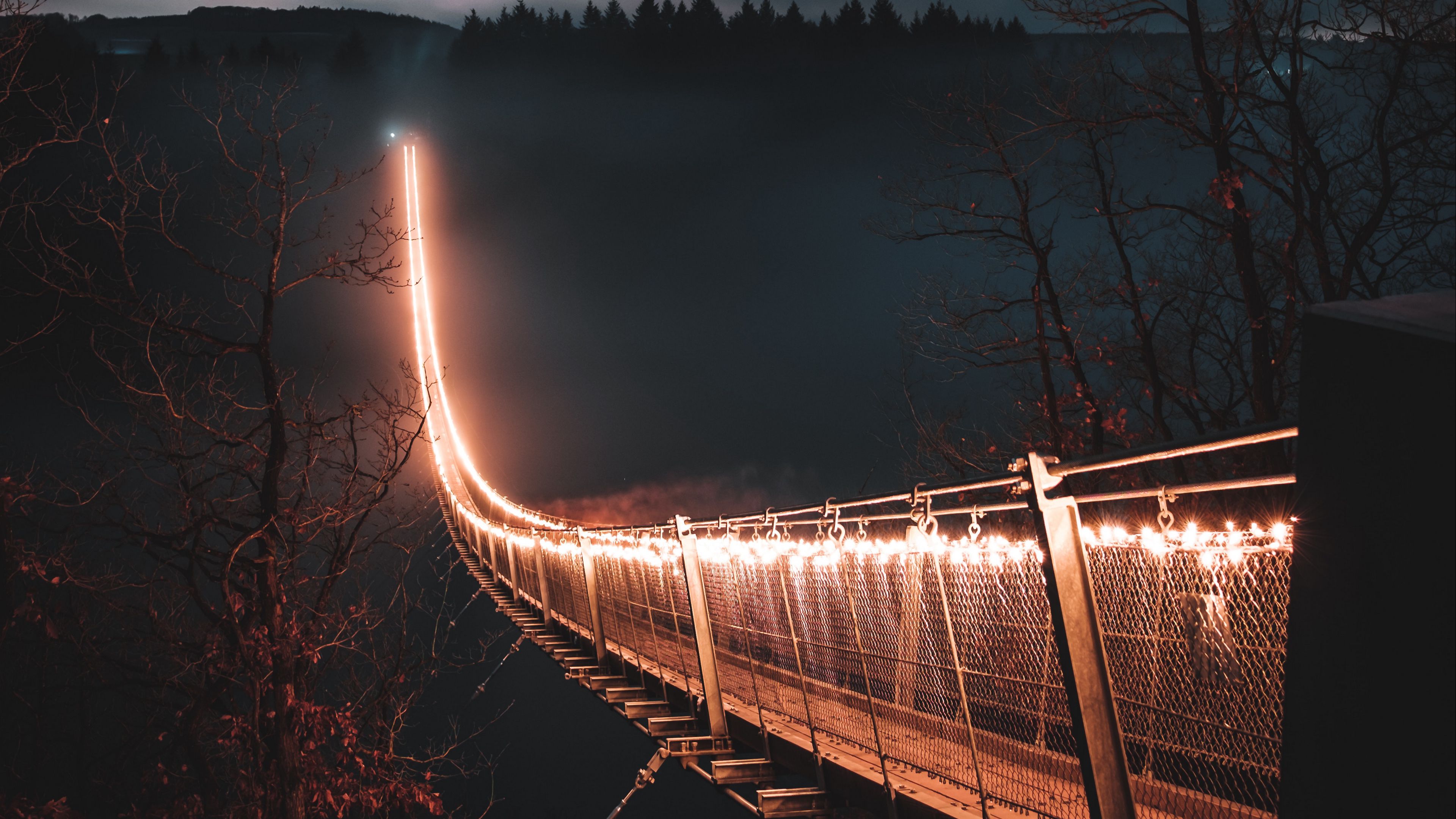 bridge, night, fog, trees, 4k, HD Wallpaper