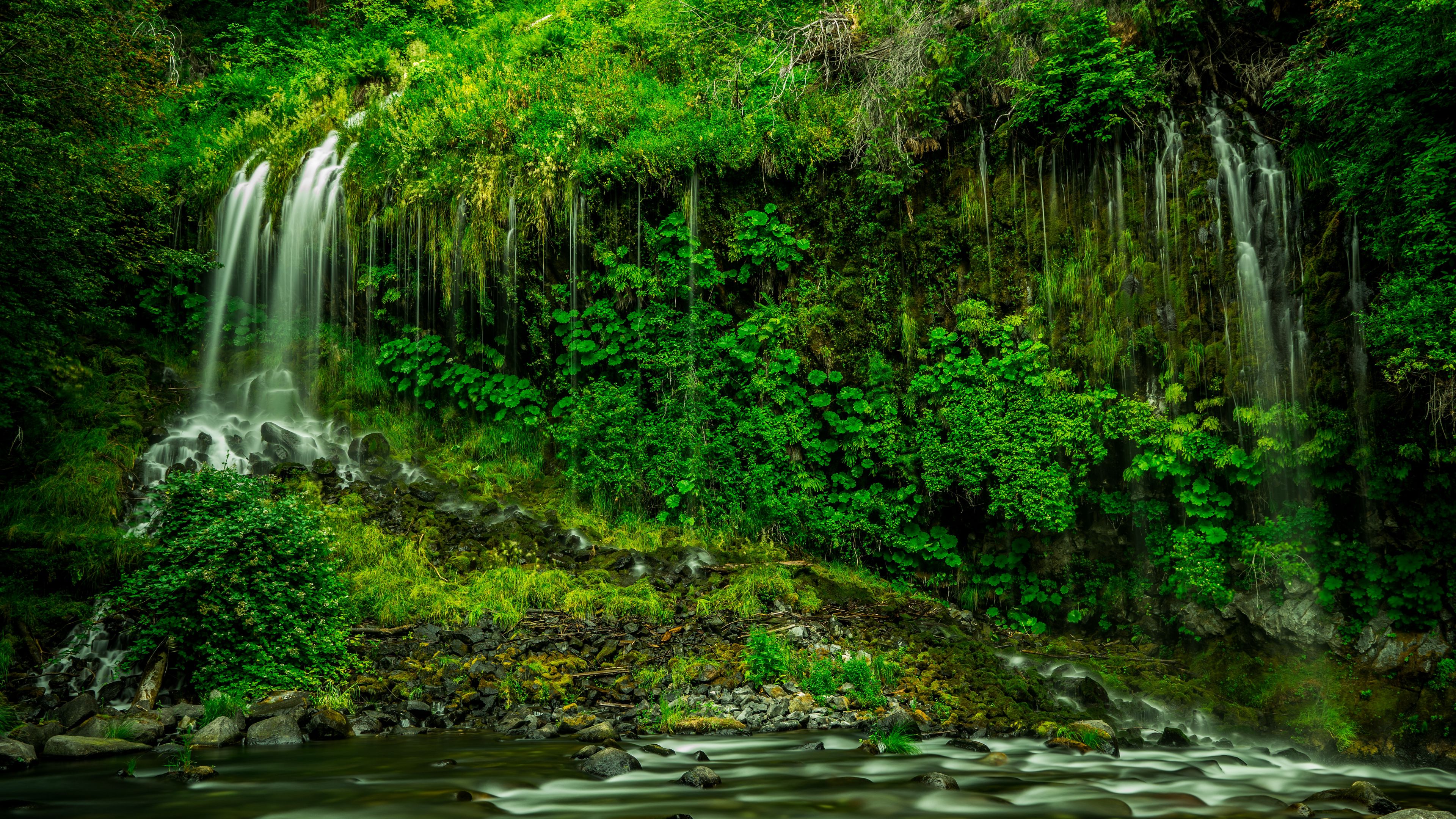 waterfall, vegetation, grass, mossbrae falls, california, 4k, HD Wallpaper