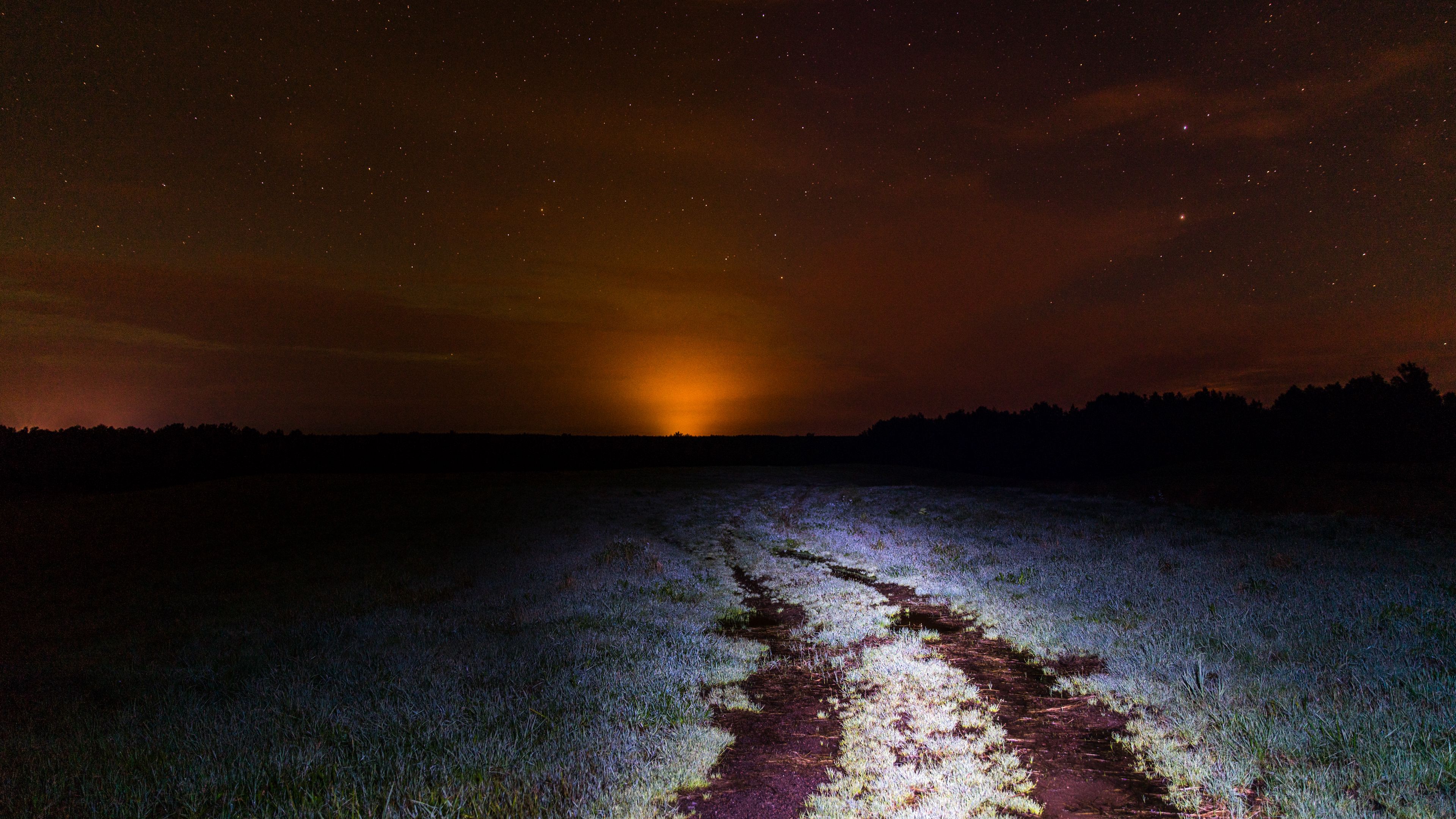 starry sky, night, horizon, grass, light, 4k, HD Wallpaper