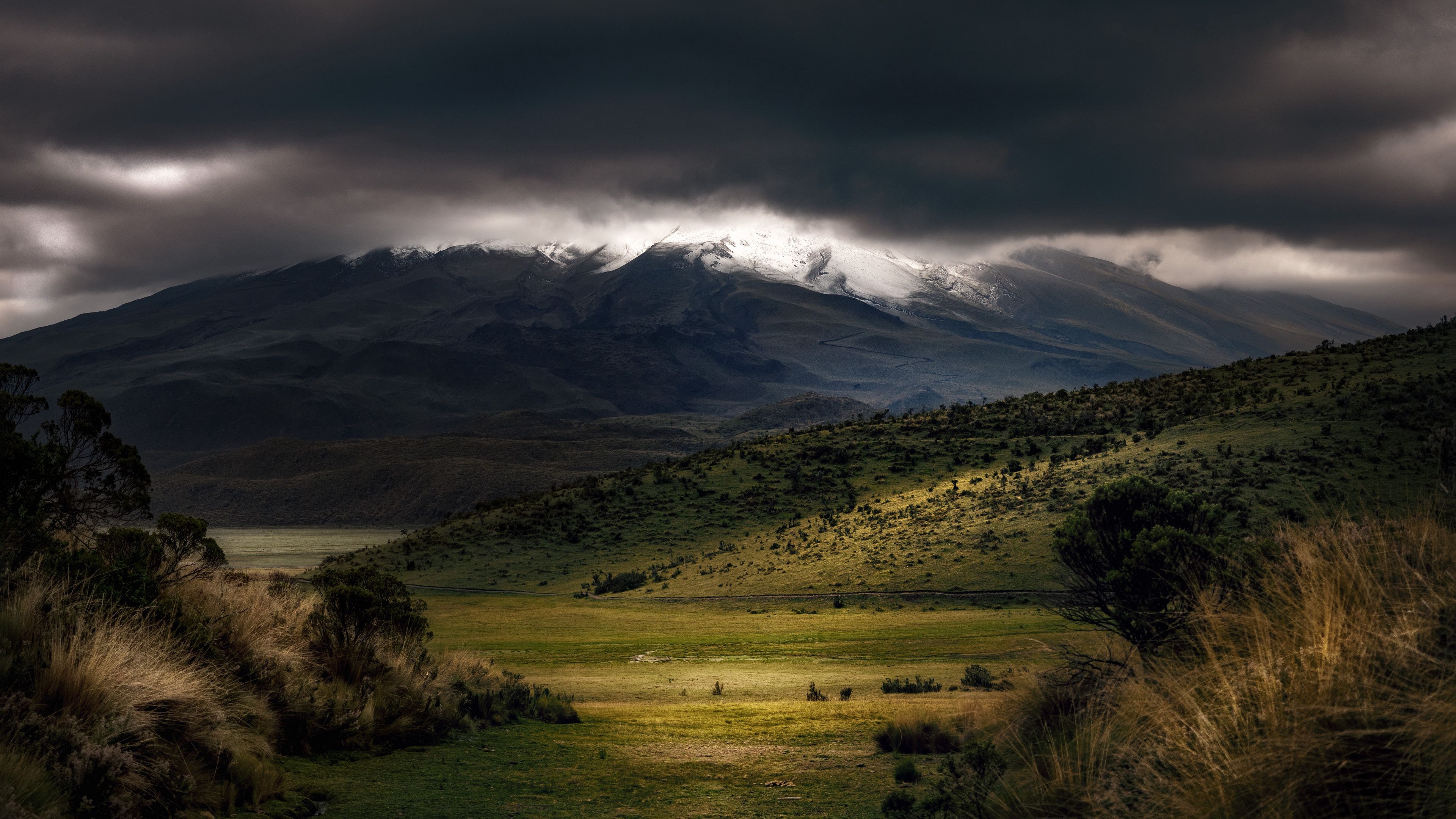mountains, fog, clouds, top, grass, landscape, 4k, HD Wallpaper