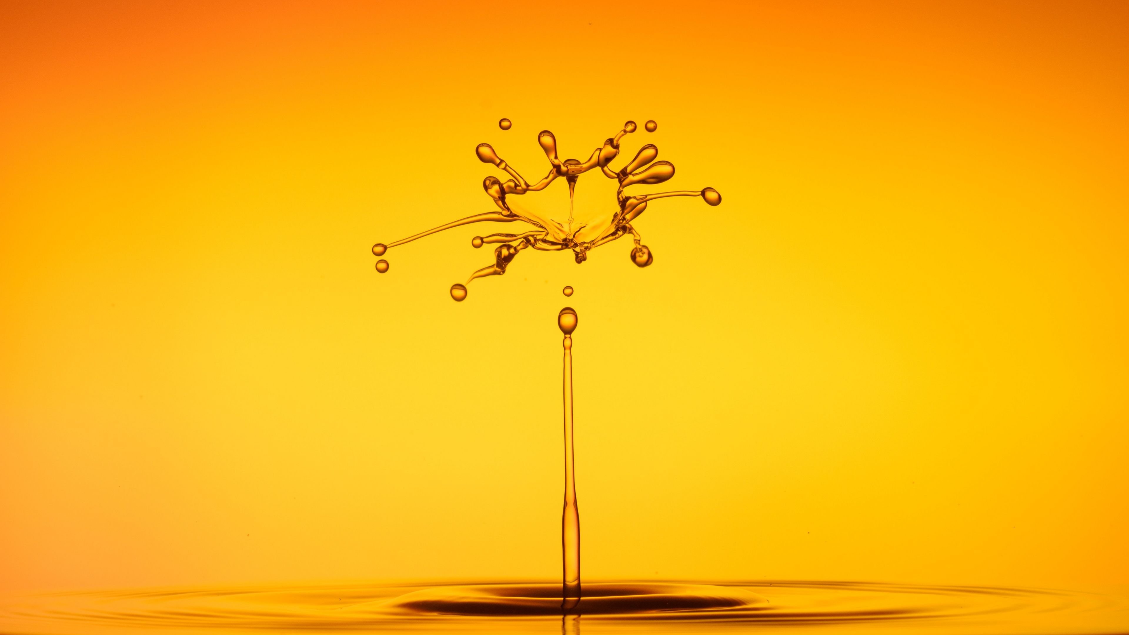 splash, liquid, drops, 4k, HD Wallpaper