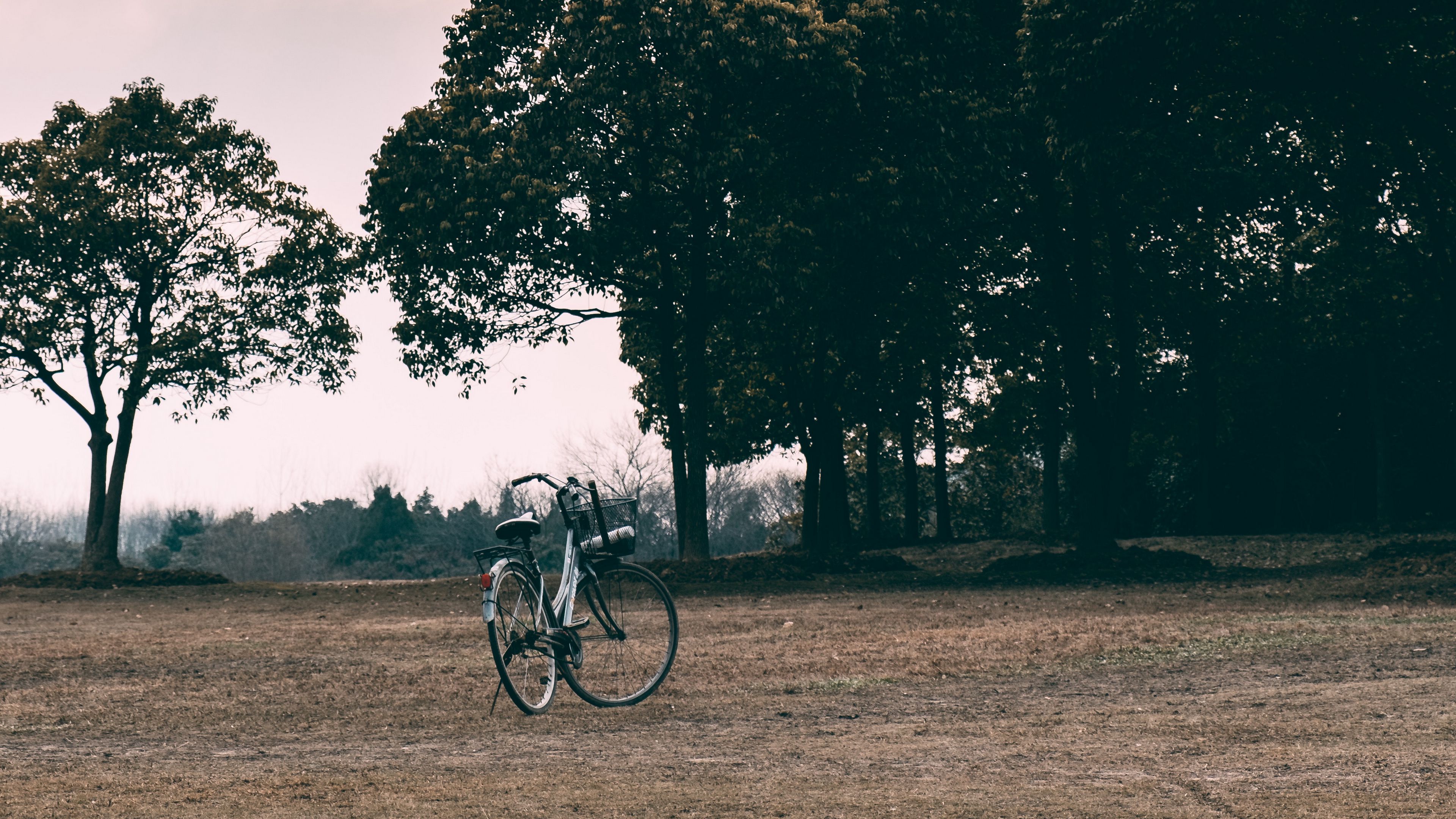 bicycle, trees, grass, clearing, clouds, overcast, 4k, HD Wallpaper