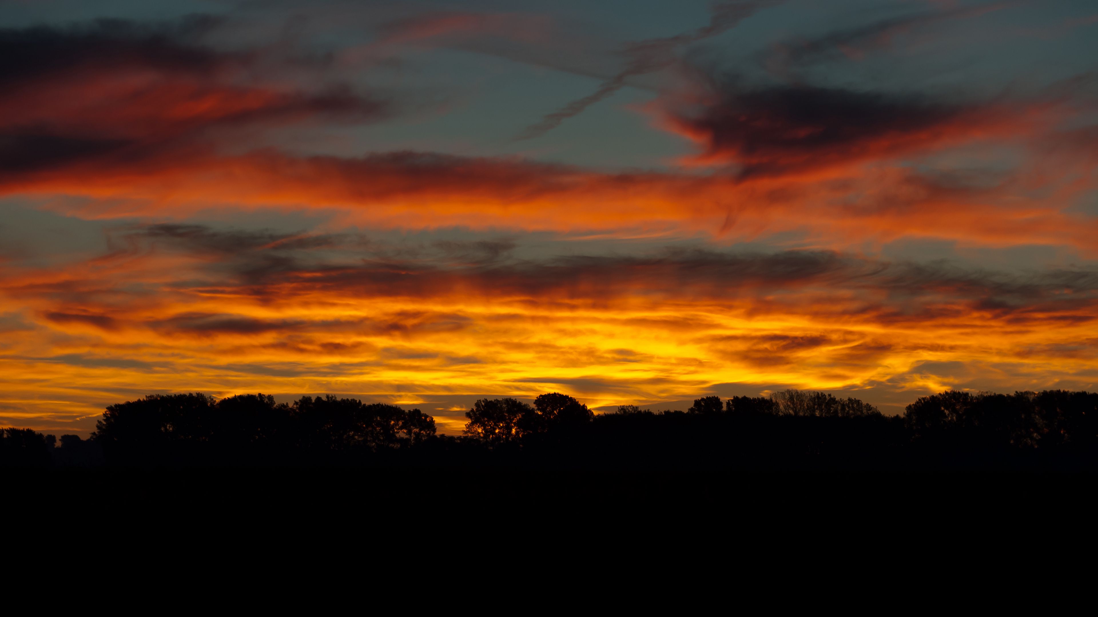 sky, sunset, trees, 4k, HD Wallpaper