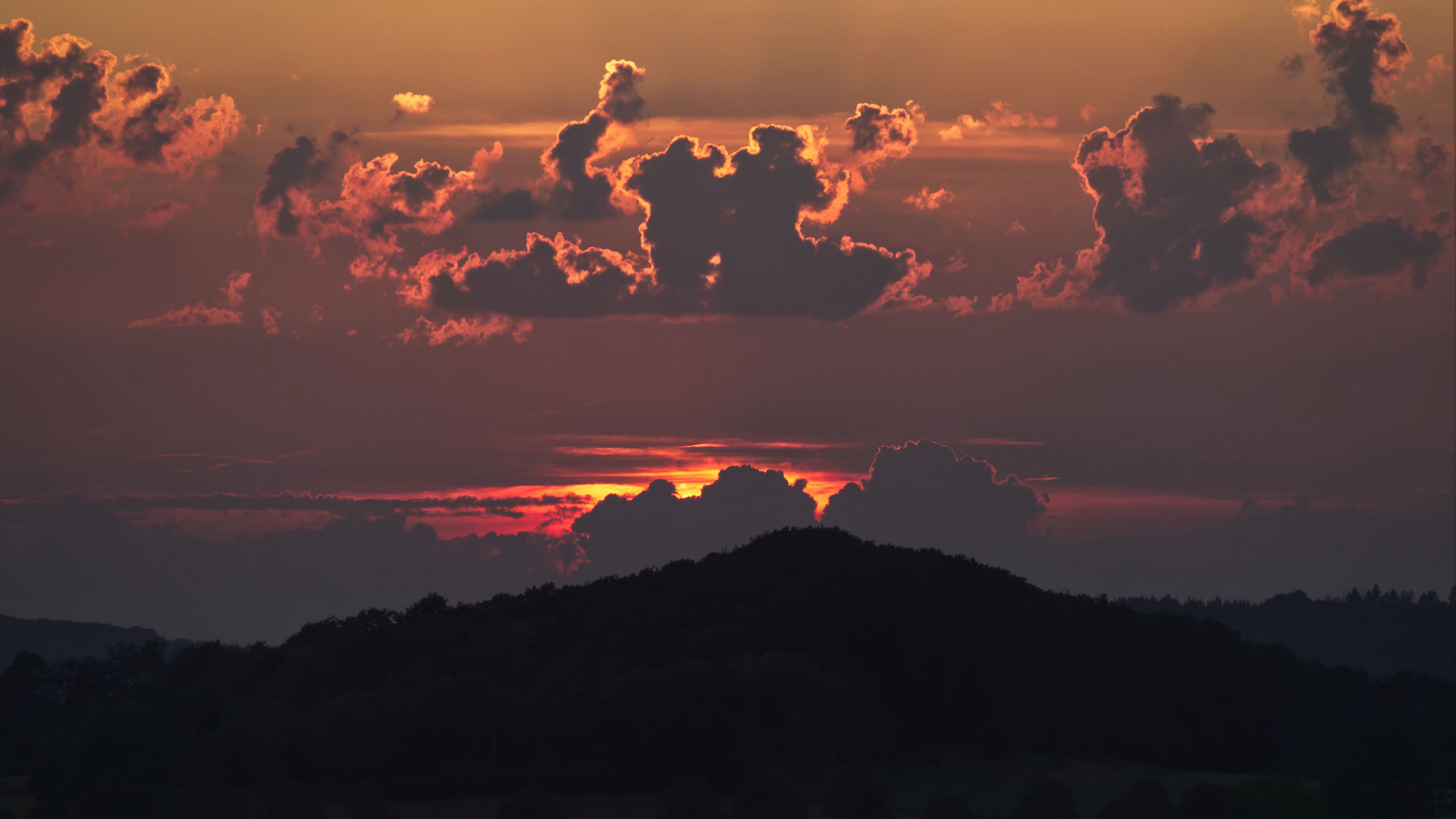 hill, forest, sunset, 4k, HD Wallpaper