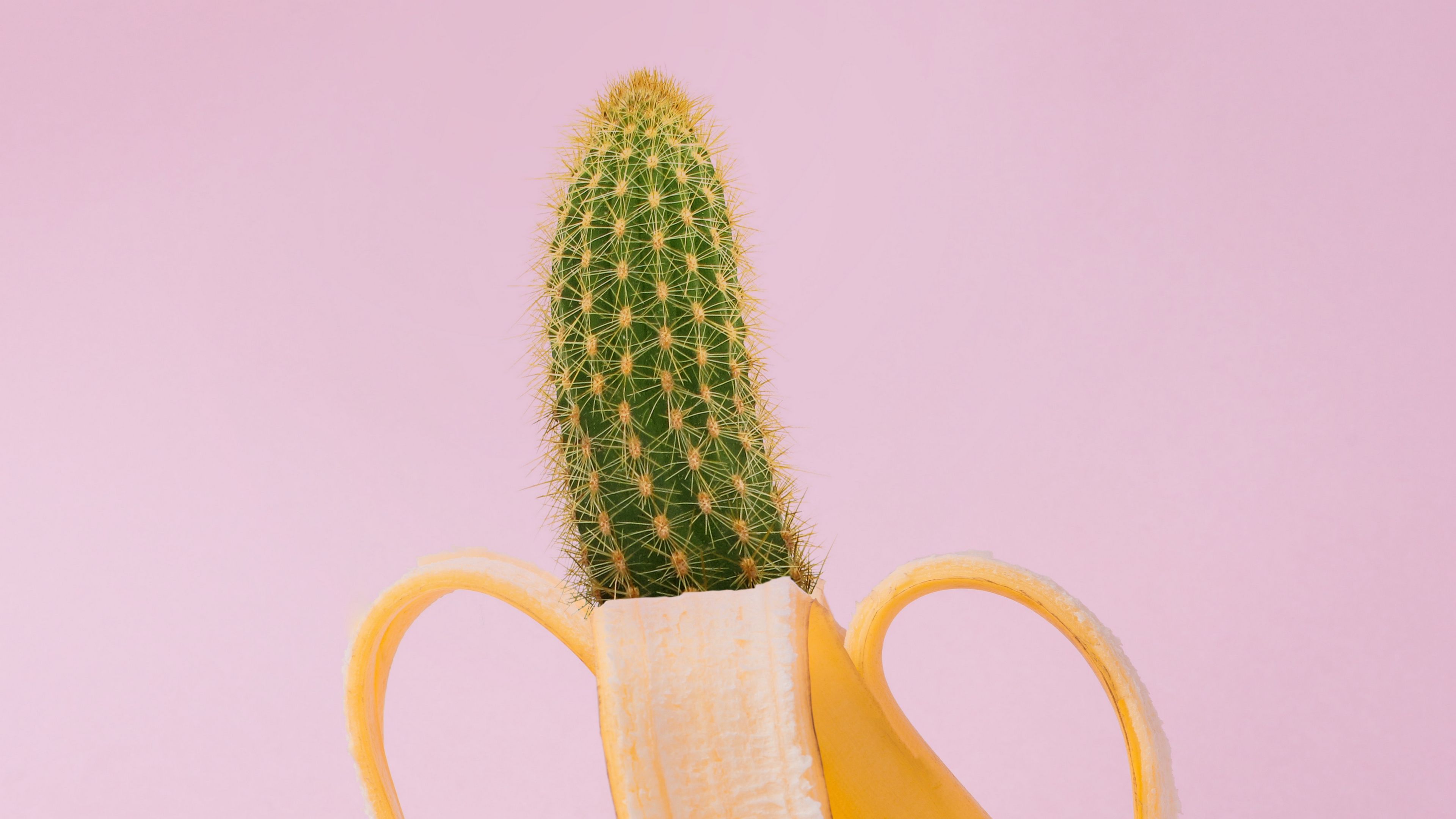banana, cactus, creative, minimalism, 4k, HD Wallpaper