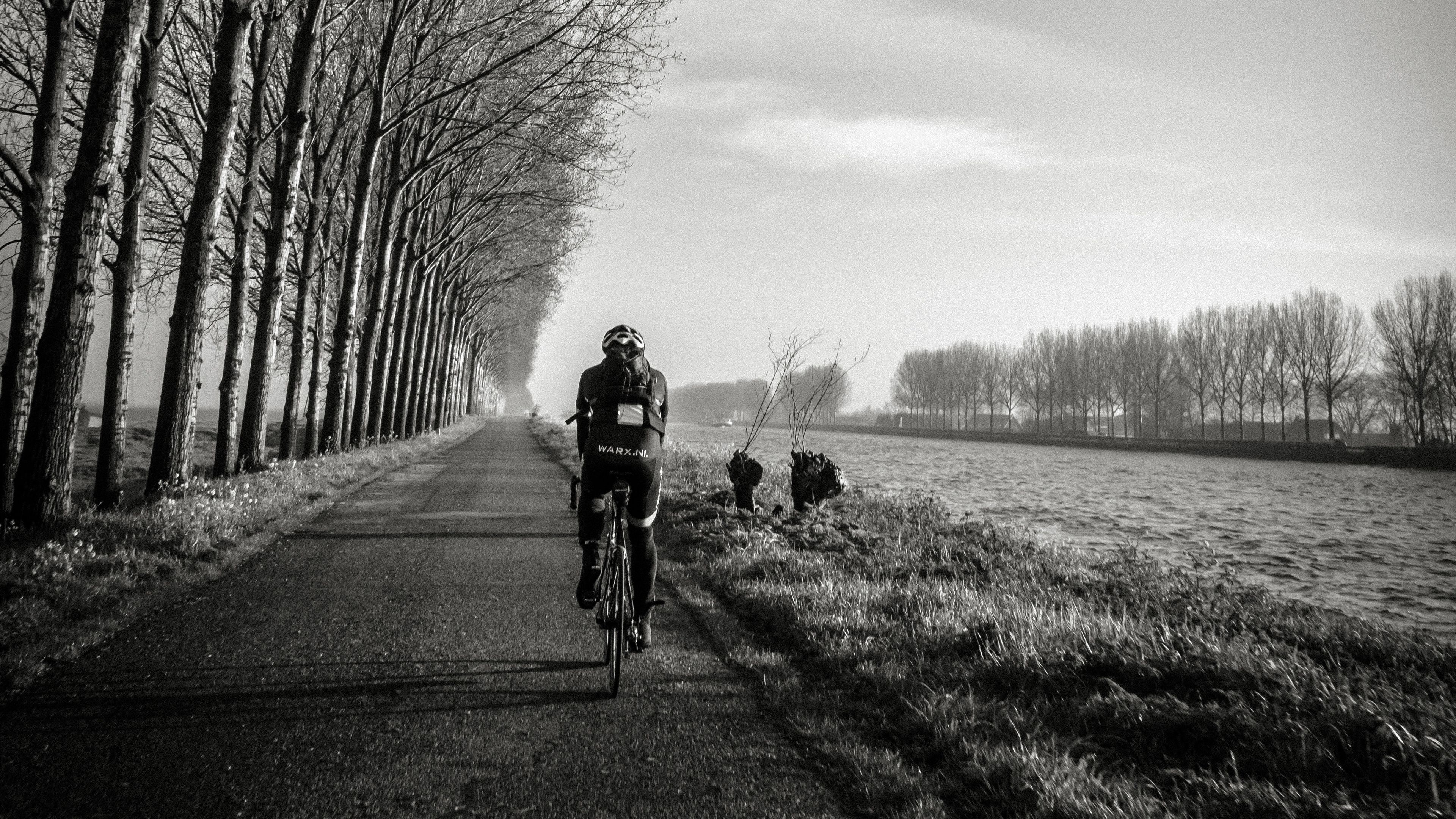 bicyclist, bw, trees, road, traffic, 4k, HD Wallpaper