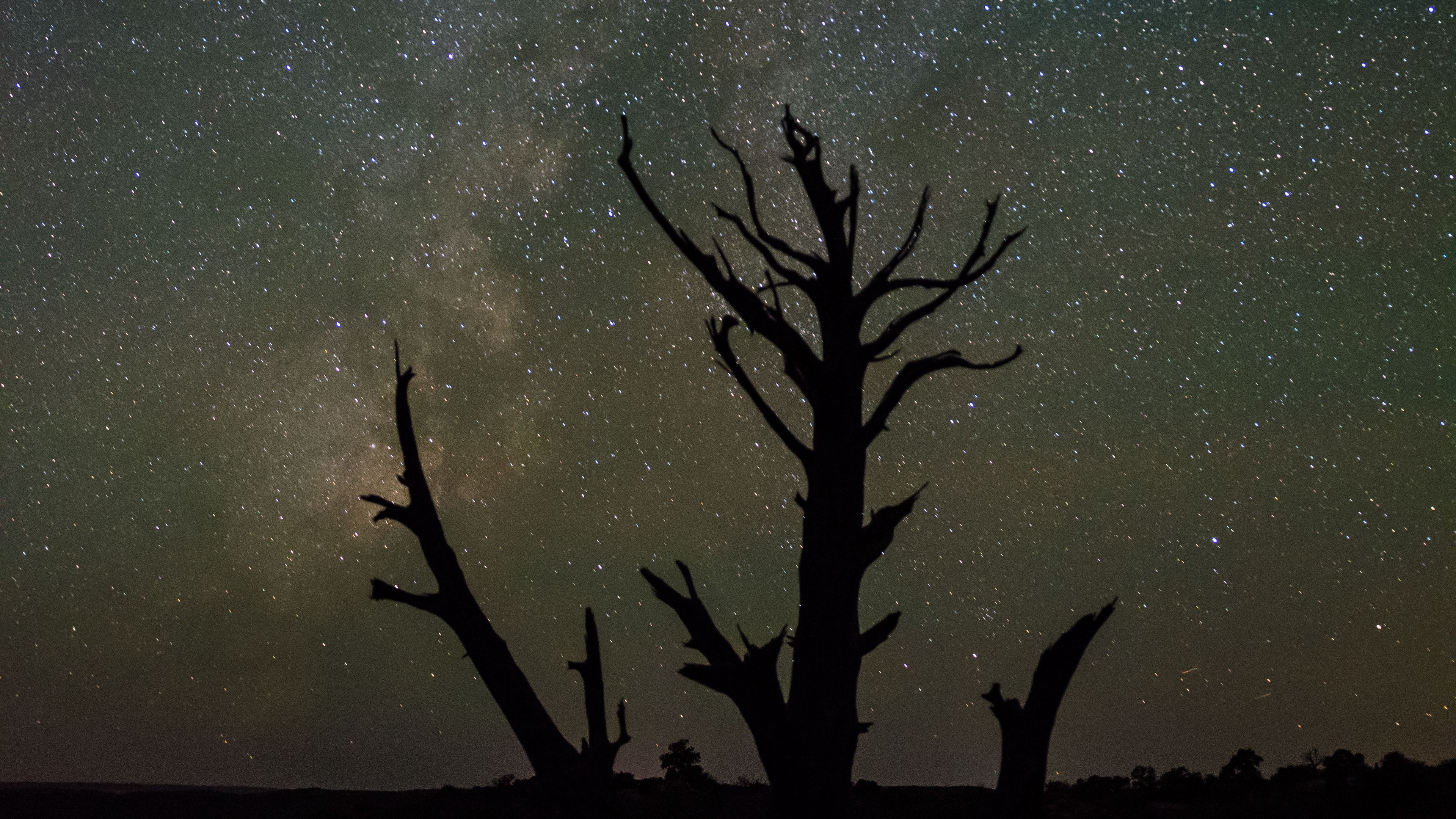 starry sky, trees, silhouettes, stars, night, 4k, HD Wallpaper