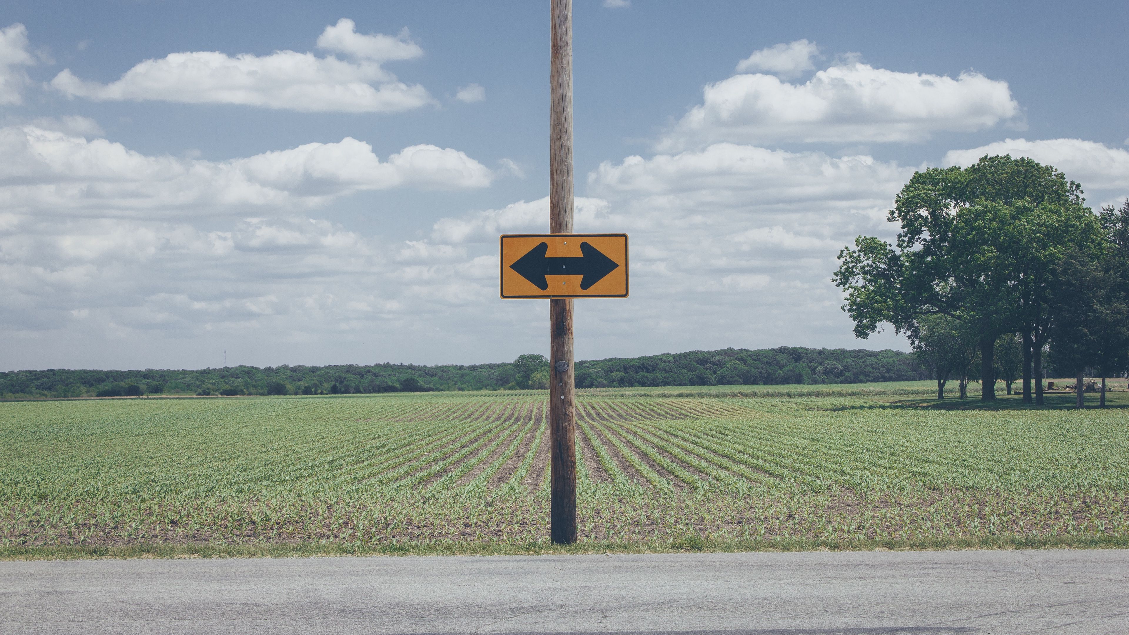 arrow, direction, field, column, 4k, HD Wallpaper