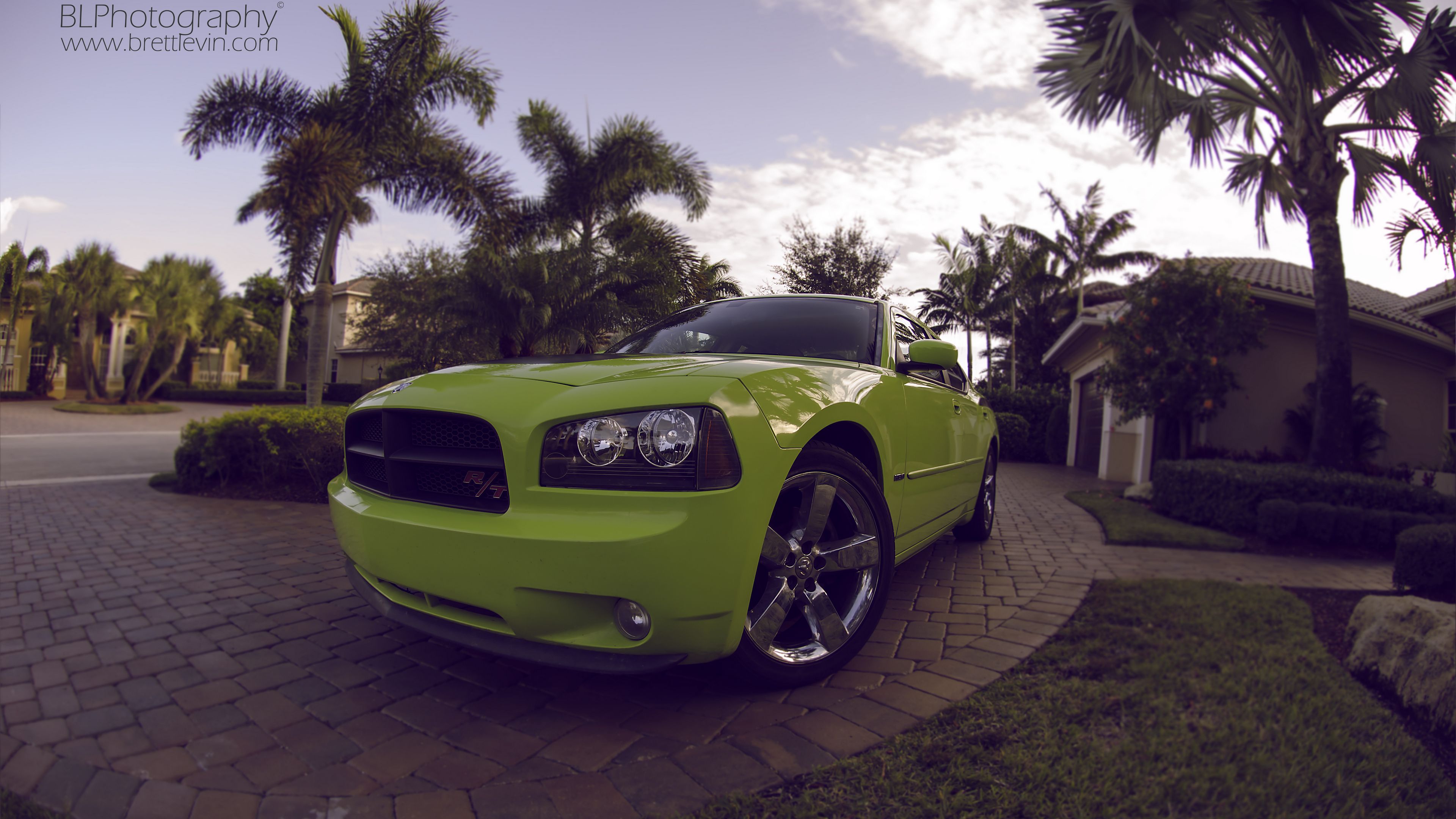dodge charger daytona, dodge, green, sports car, 4k, HD Wallpaper