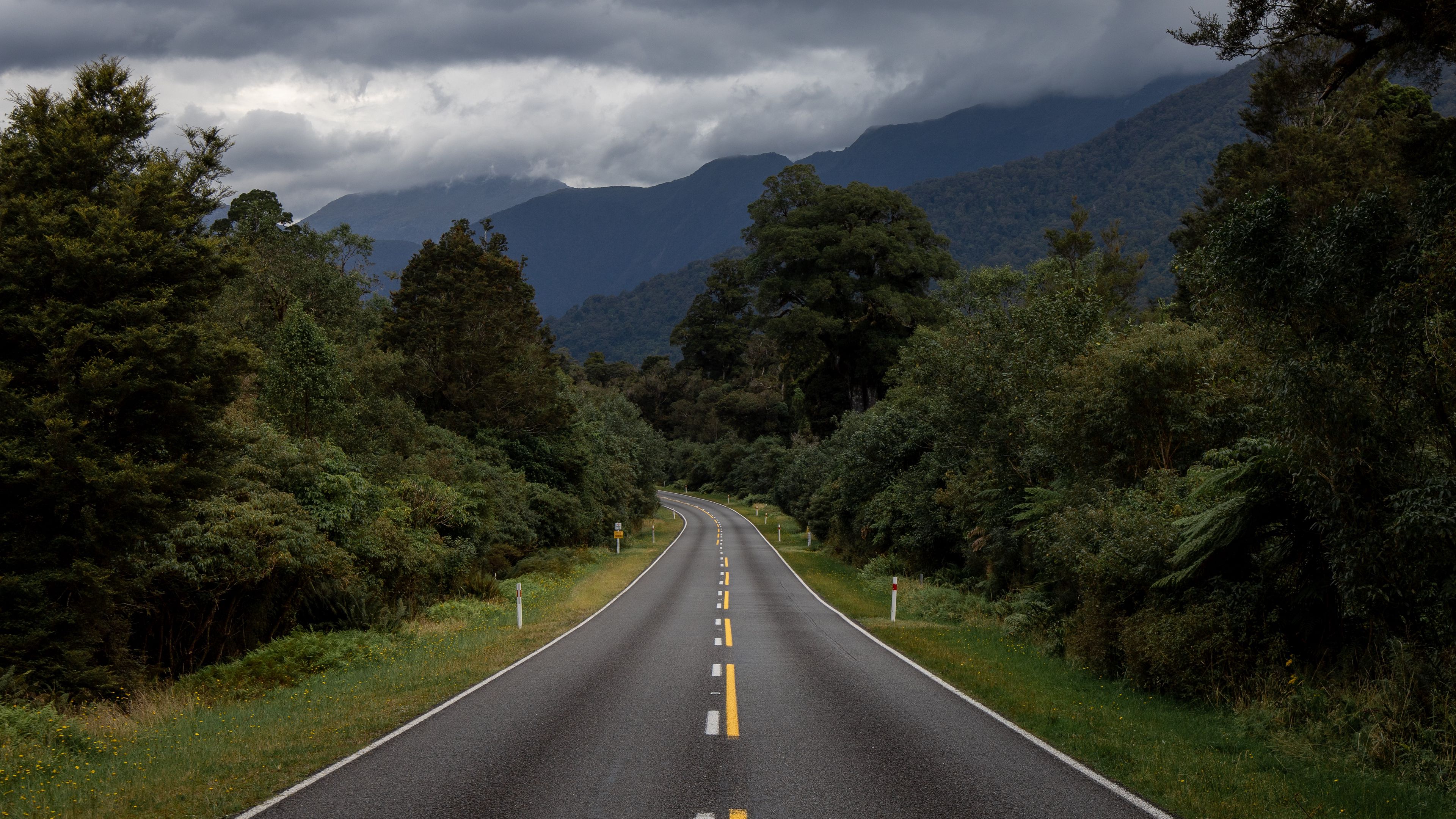 road, bushes, marking, 4k, HD Wallpaper