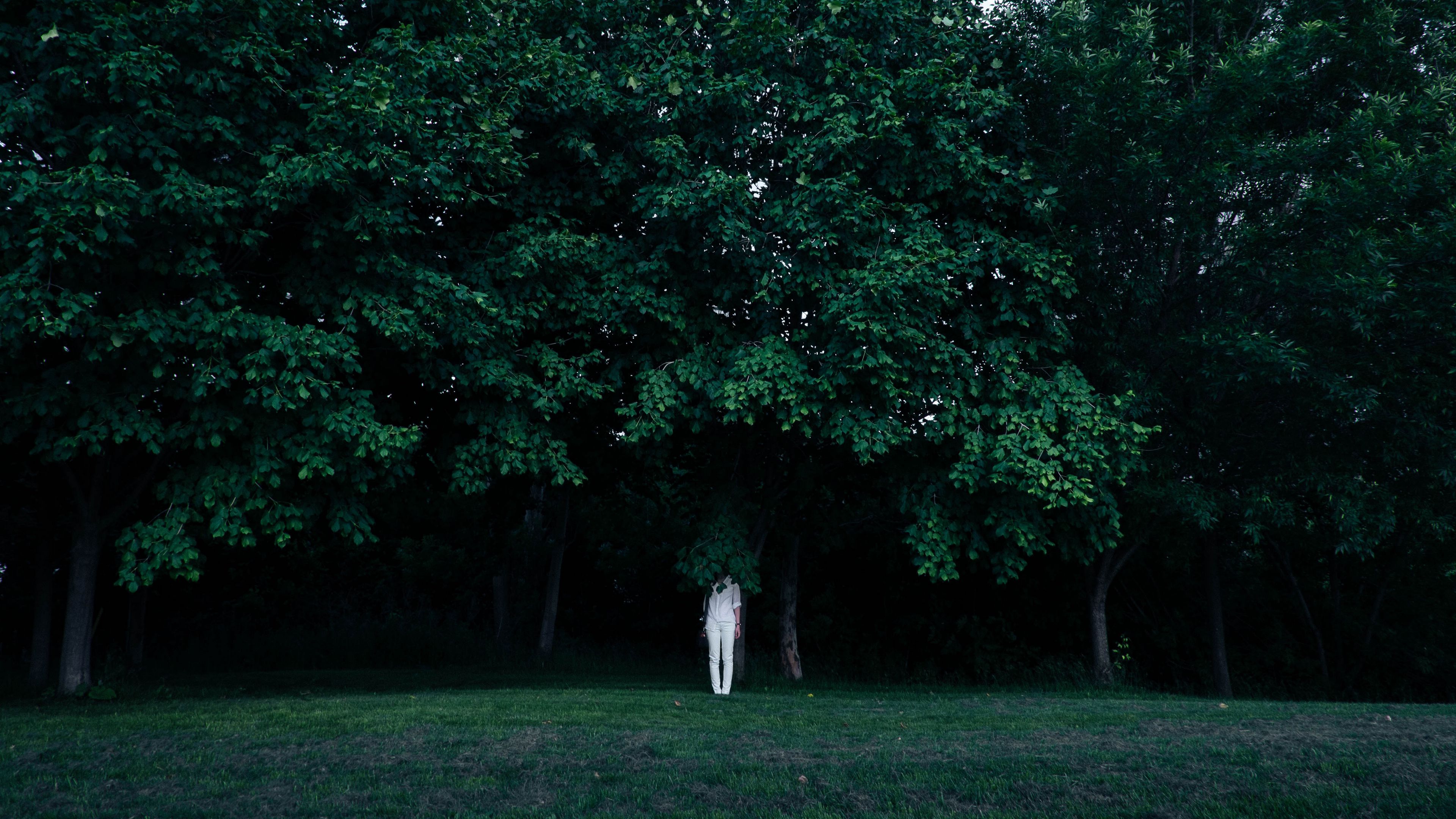 trees, person, contrast, green, white, hide, 4k, HD Wallpaper