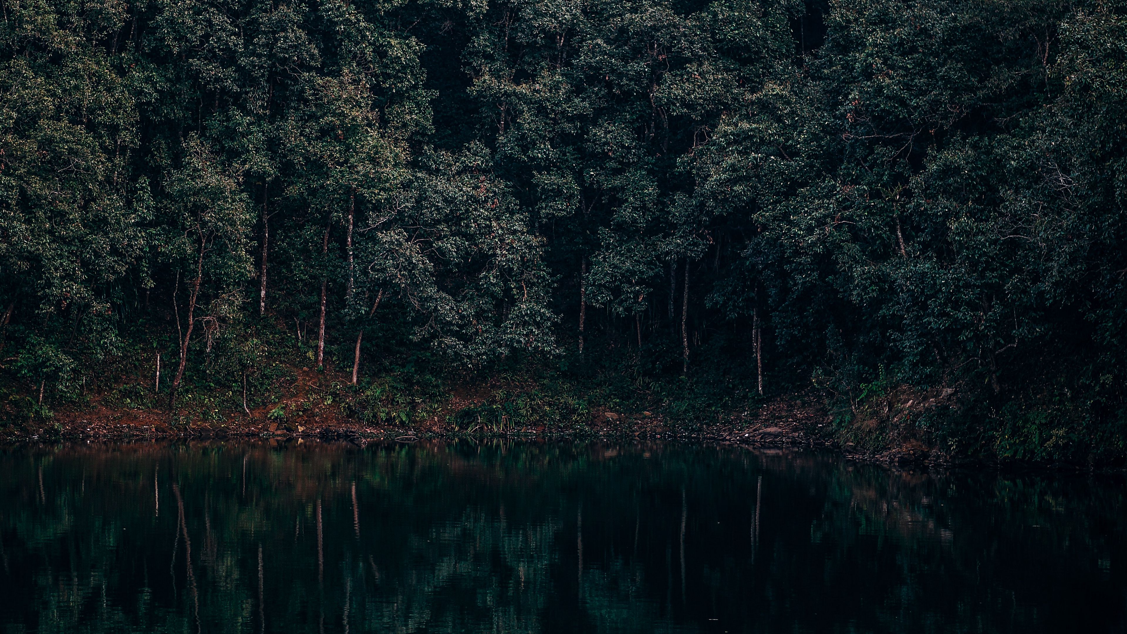lake, trees, forest, reflection, begnas, lekhnath, nepal, 4k, HD Wallpaper