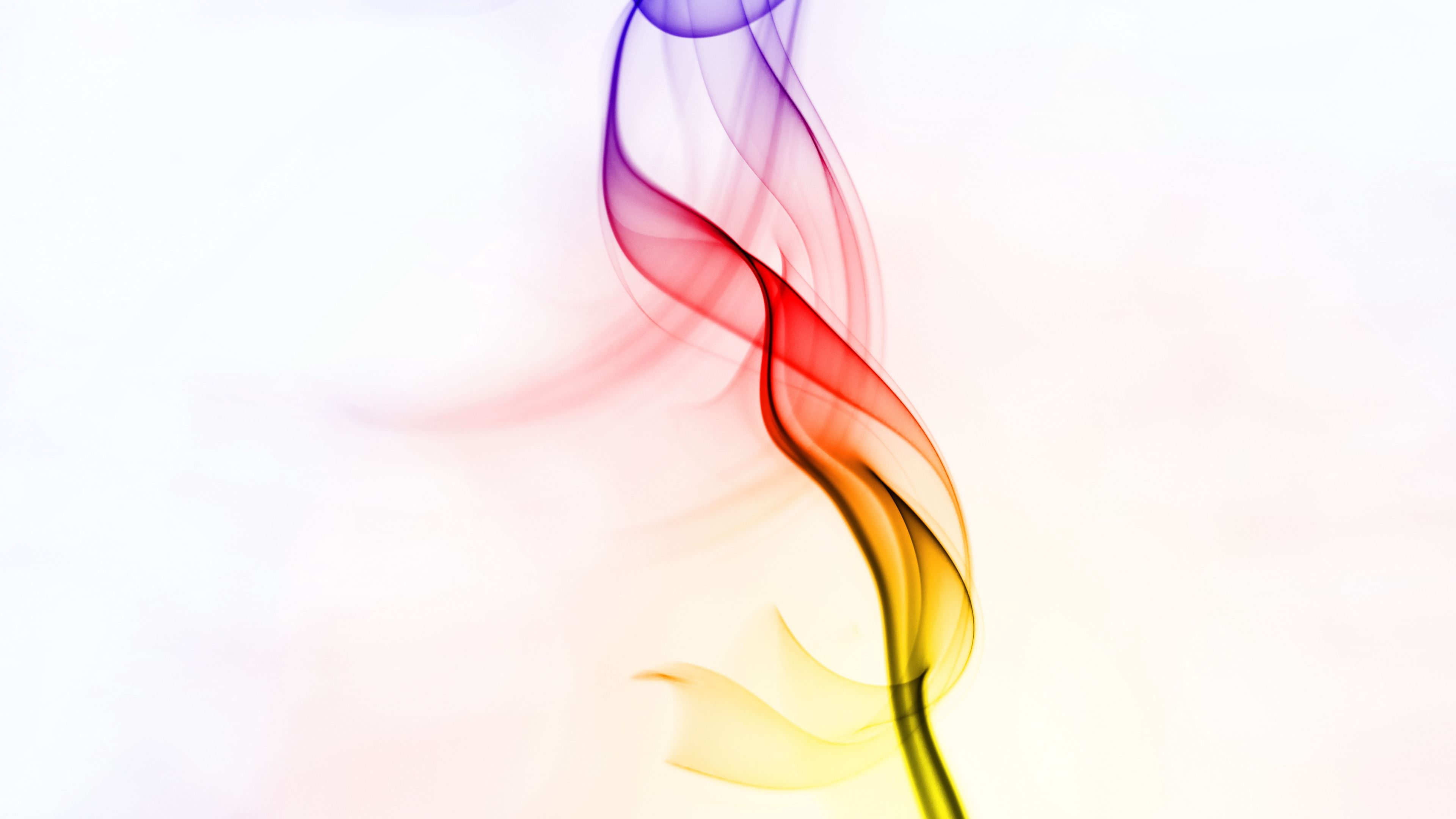 smoke, shroud, colorful, bright, 4k, HD Wallpaper