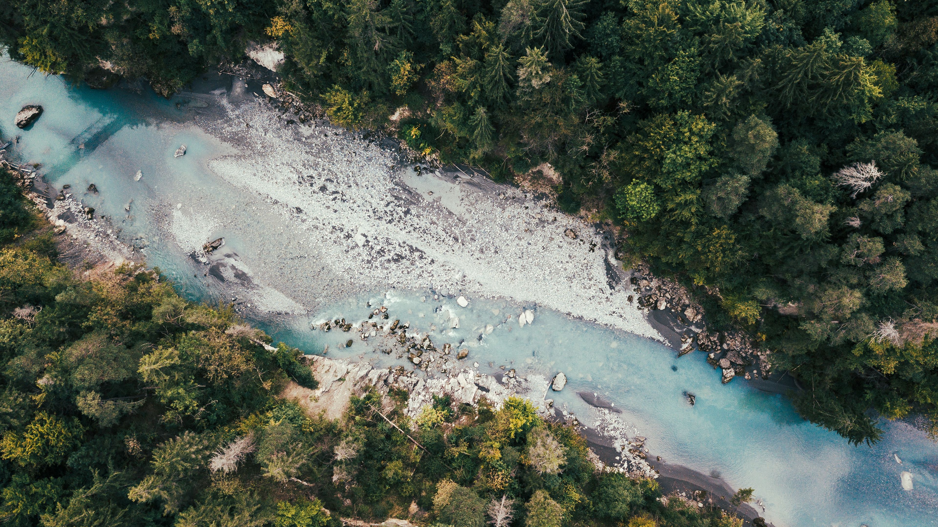 river, trees, forest, aerial view, 4k, HD Wallpaper