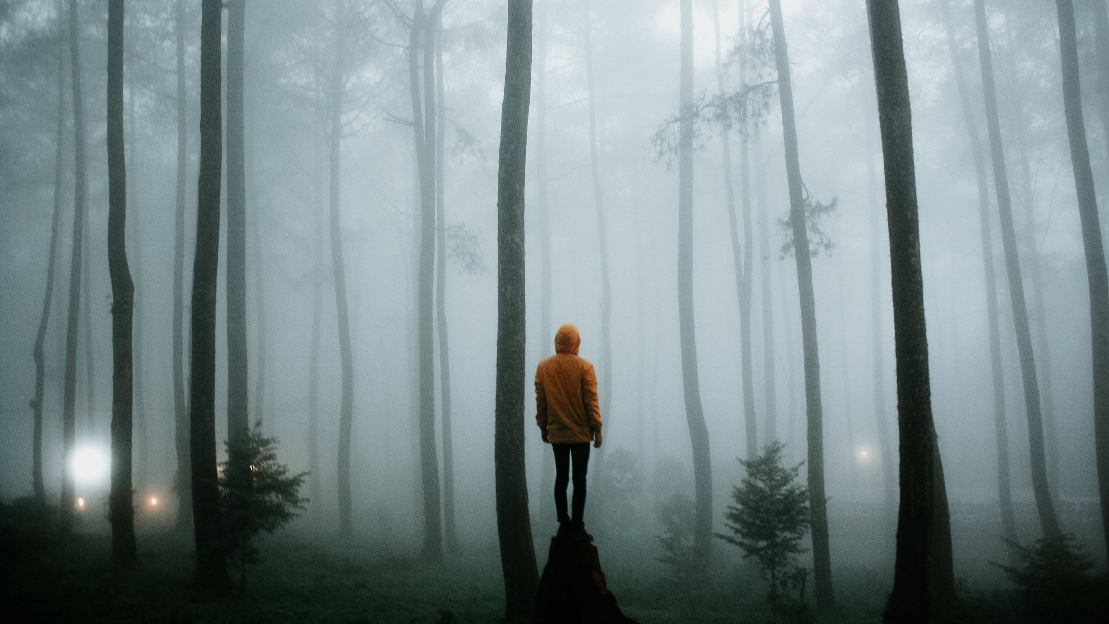 man, fog, loneliness, forest, trees, 4k, HD Wallpaper