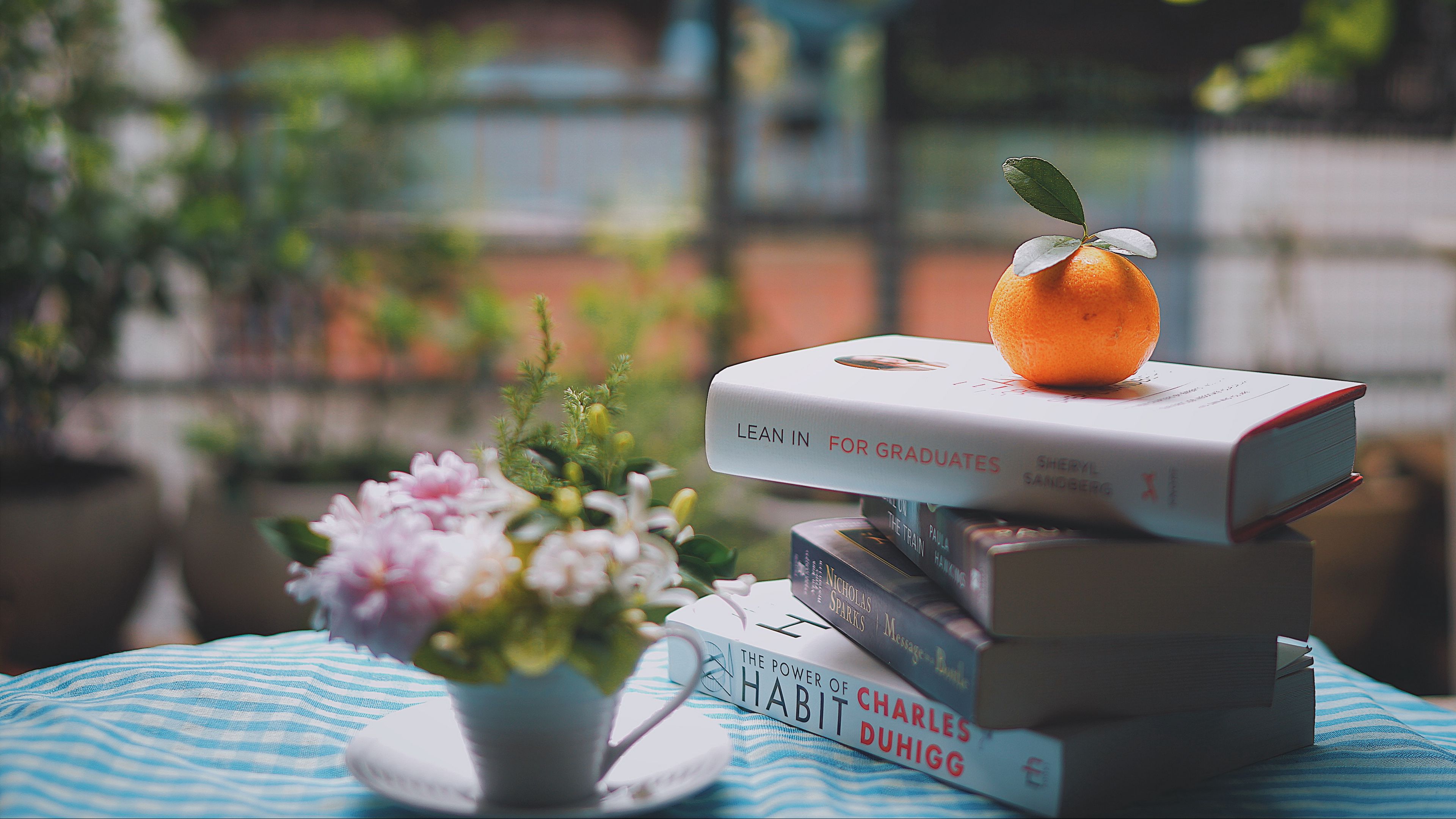 mandarin, books, table, reading, light, 4k, HD Wallpaper