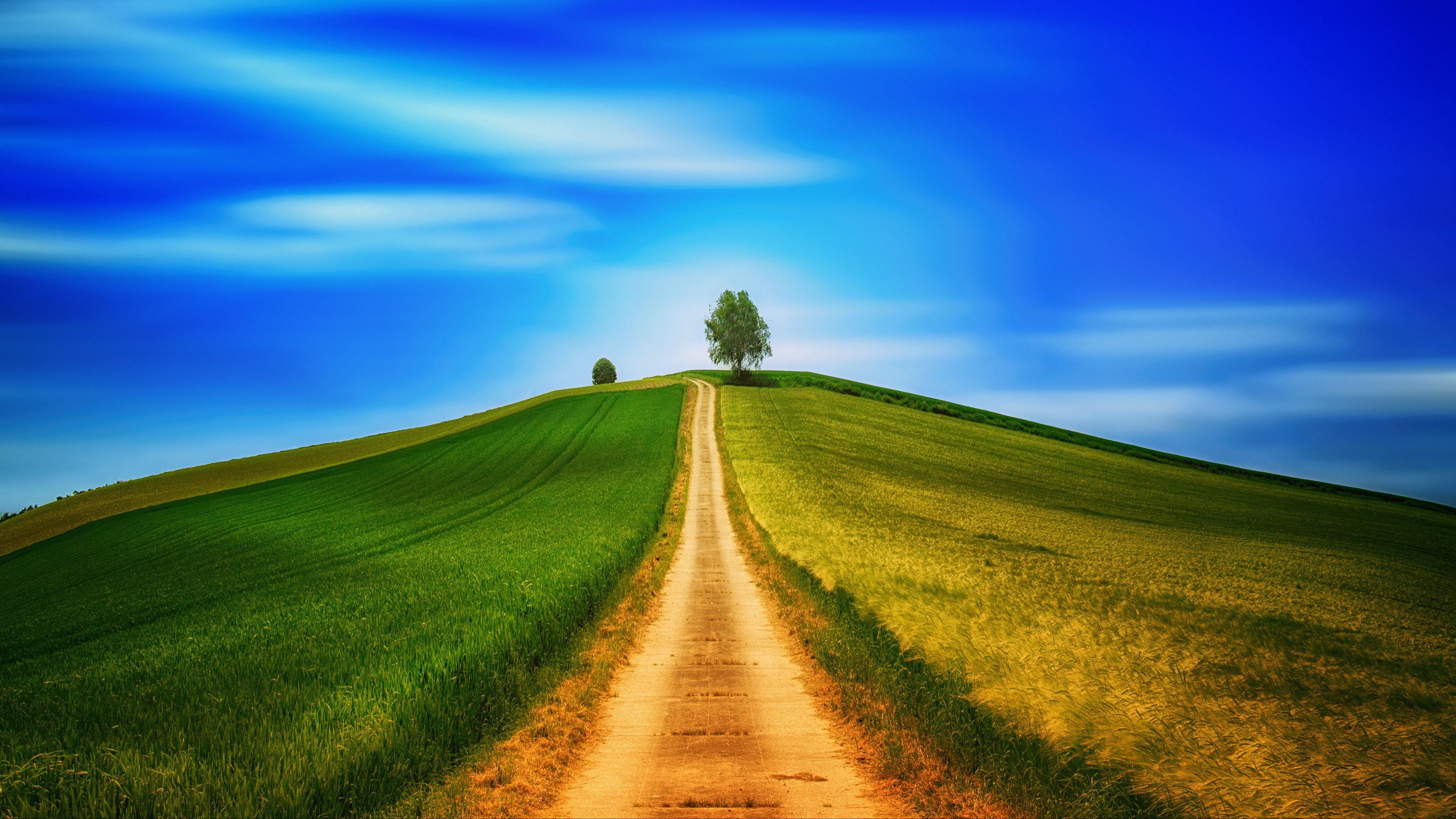 field, grass, summer, road, sky, hill, 4k, HD Wallpaper
