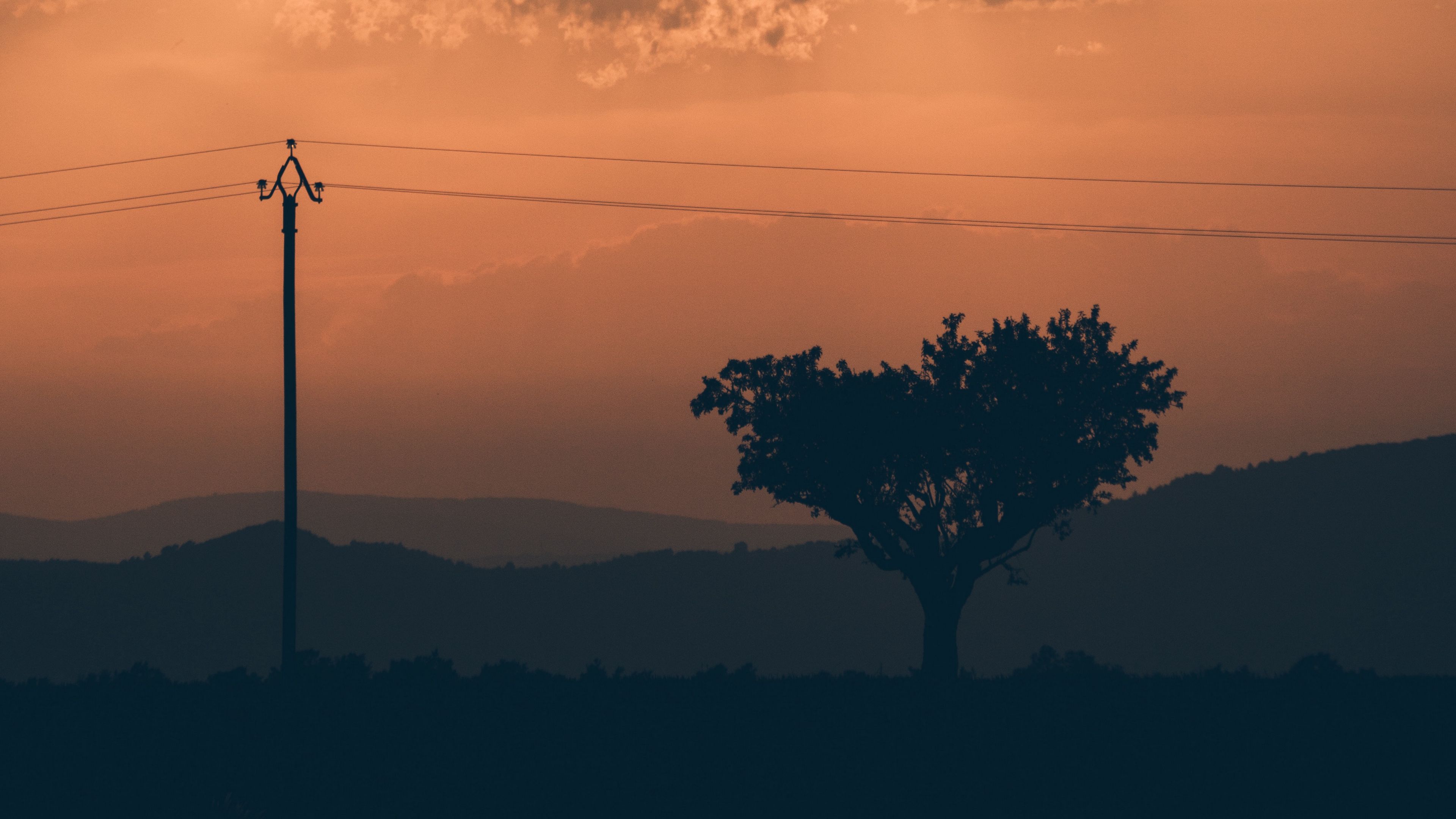 tree, sunset, column, wires, 4k, HD Wallpaper