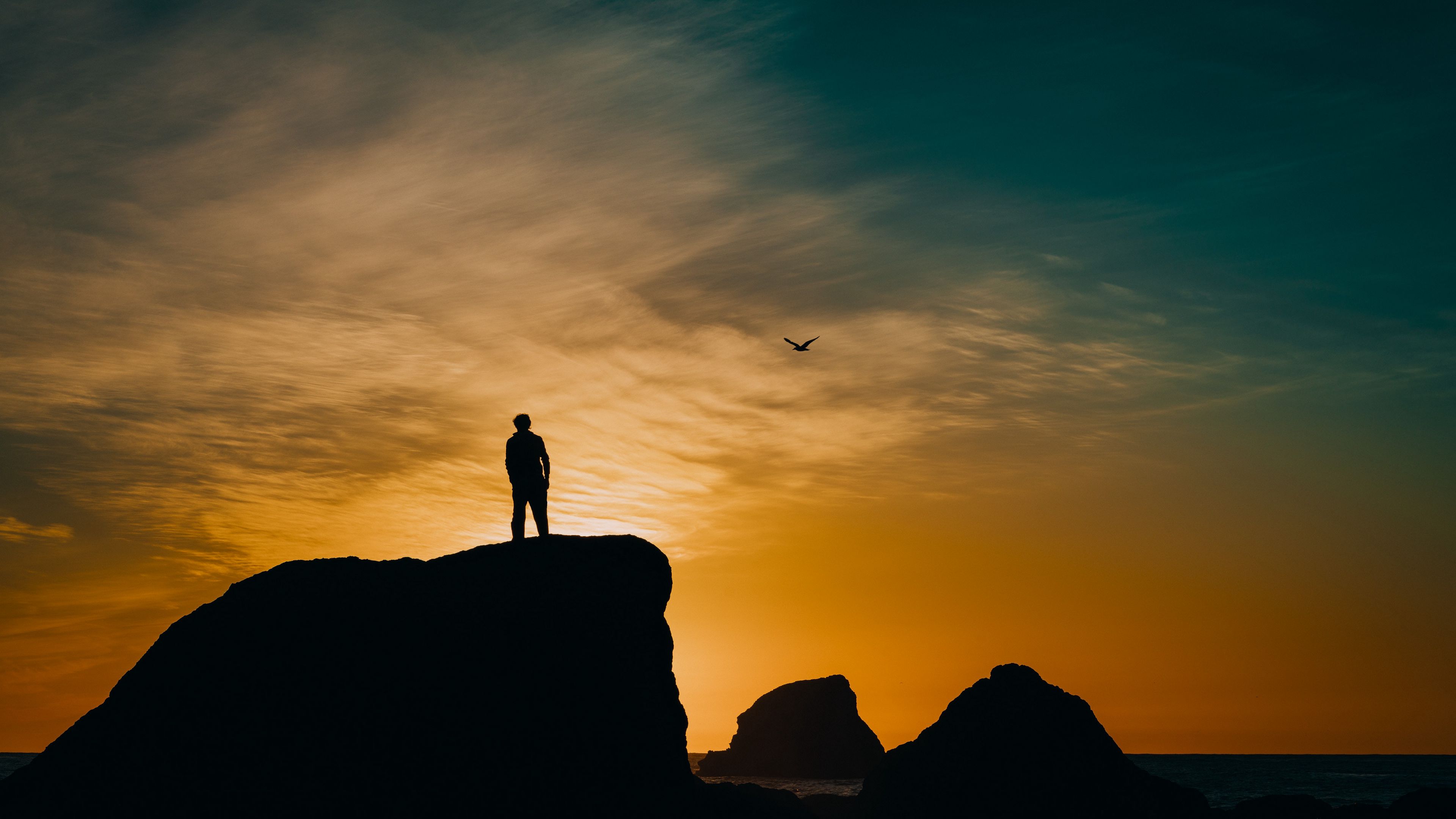 silhouette, rocks, sunset, sea, bird, 4k, HD Wallpaper