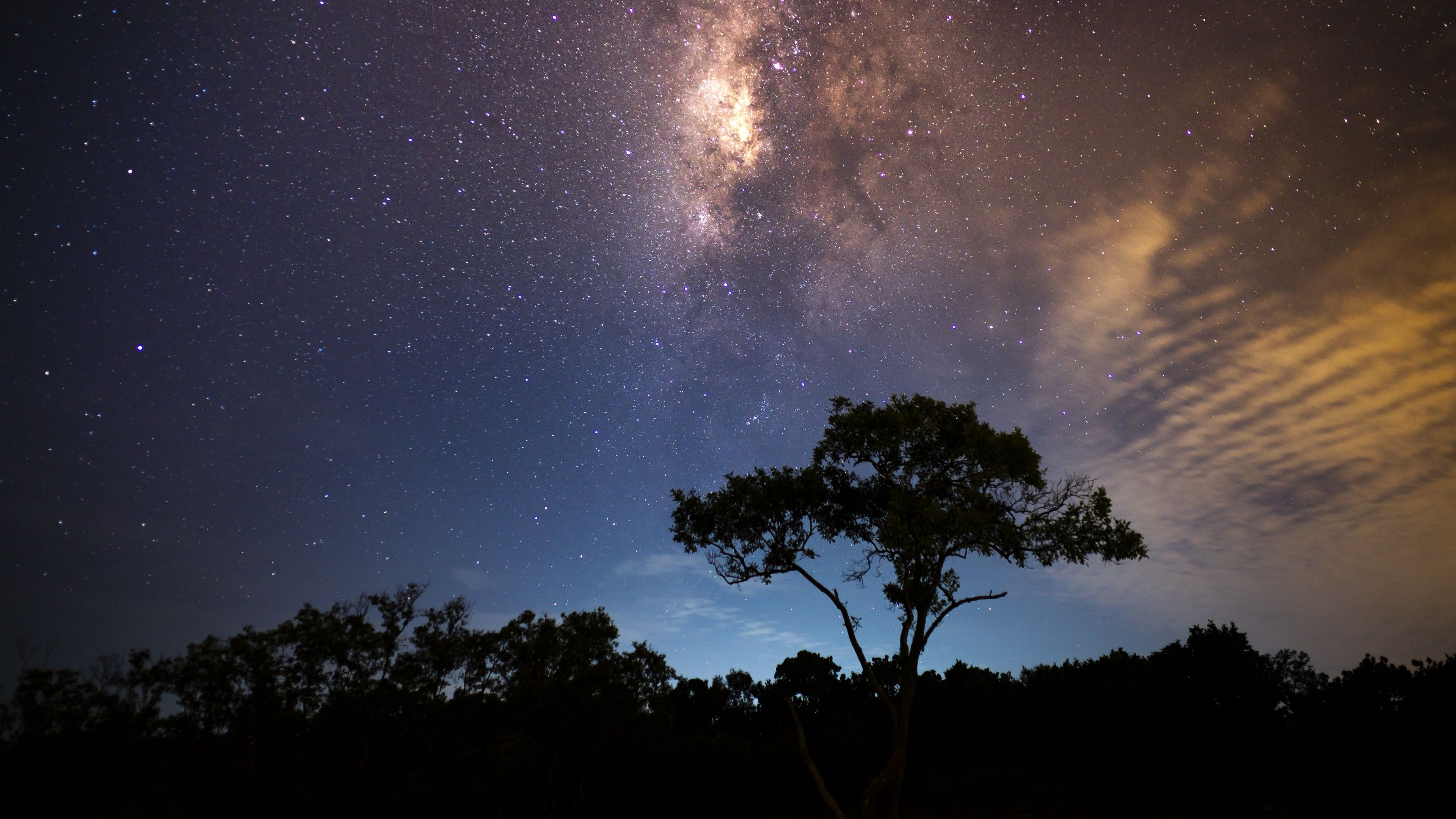 starry sky, tree, milky way, radiance, 4k, HD Wallpaper