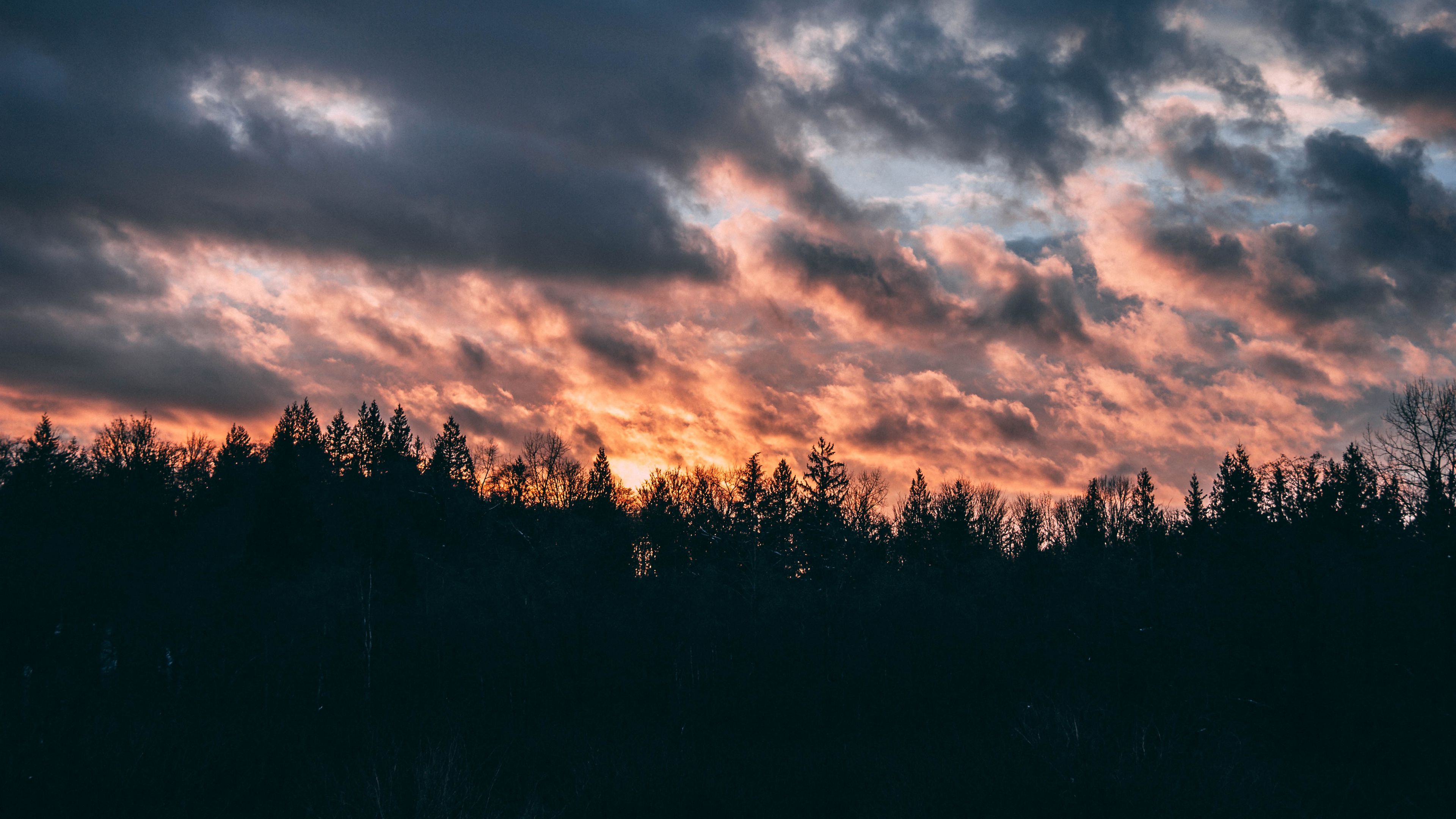 clouds, trees, sky, sunset, 4k, HD Wallpaper