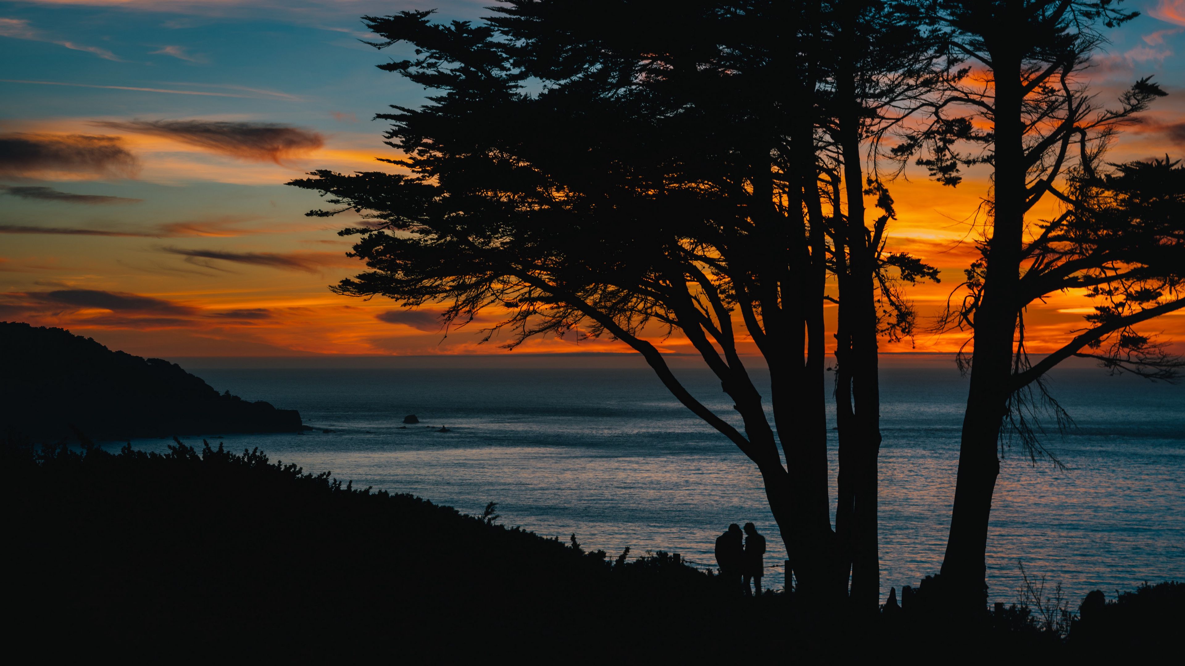 silhouettes, sunset, tree, sea, 4k, HD Wallpaper
