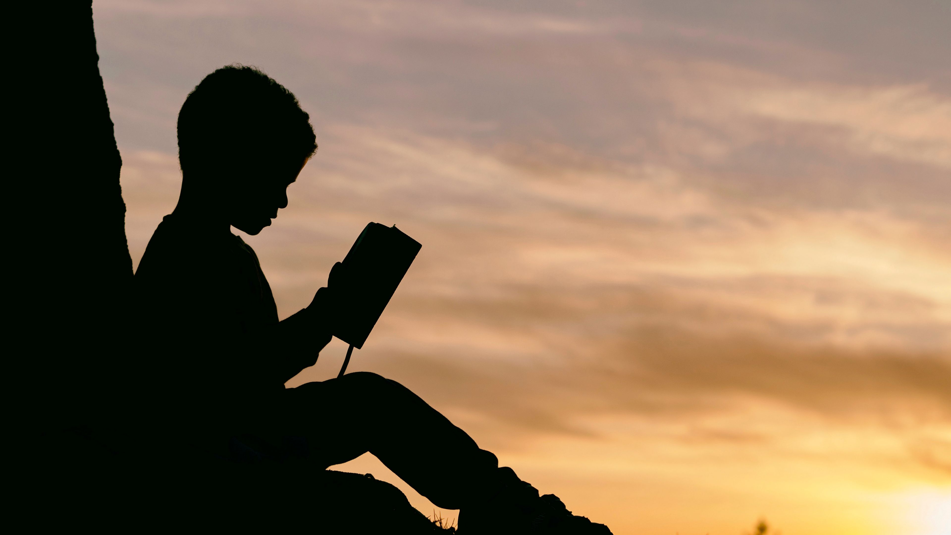 child, silhouette, book, sunset, 4k, HD Wallpaper