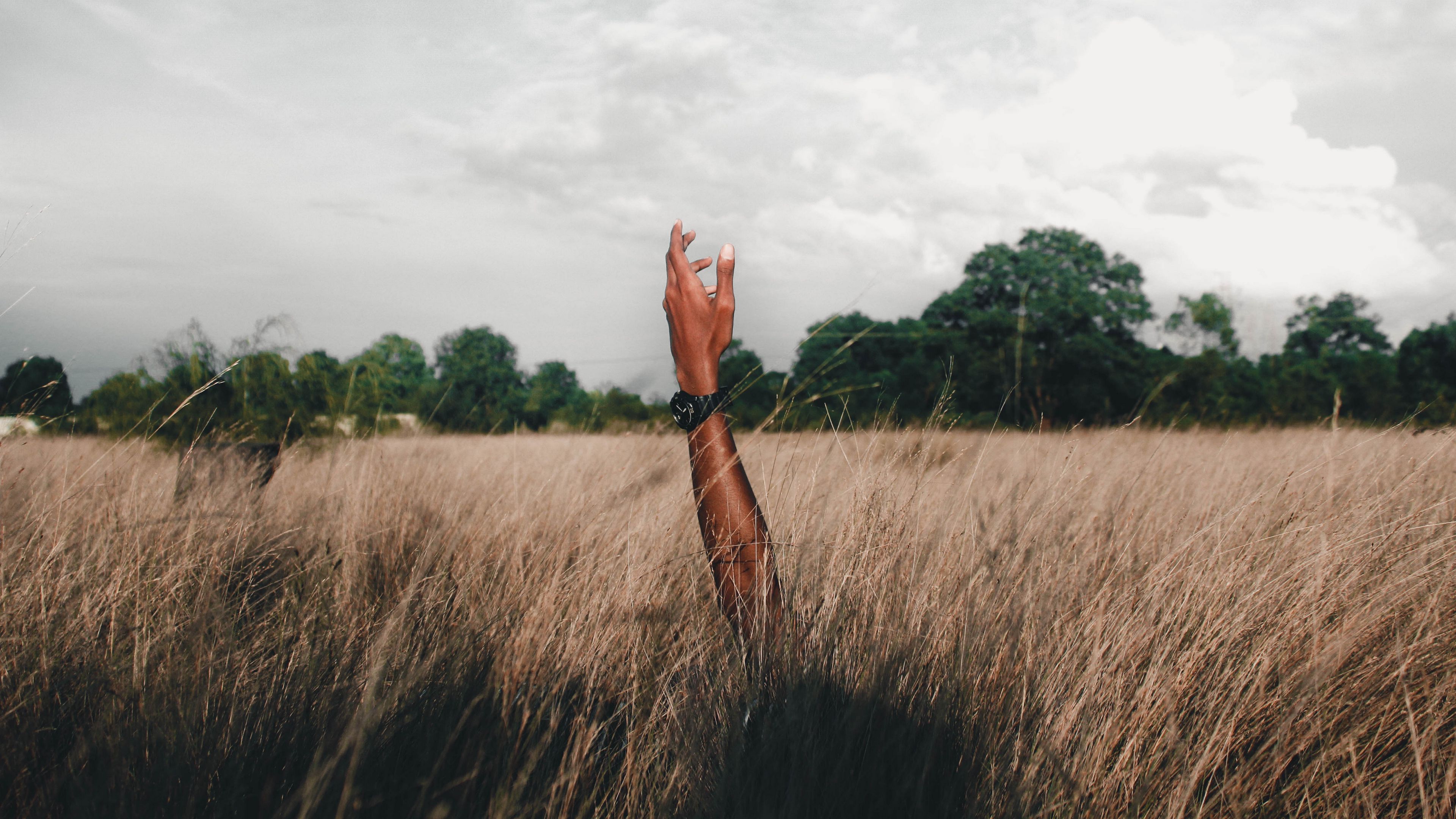 hand, field, grass, clouds, 4k, HD Wallpaper
