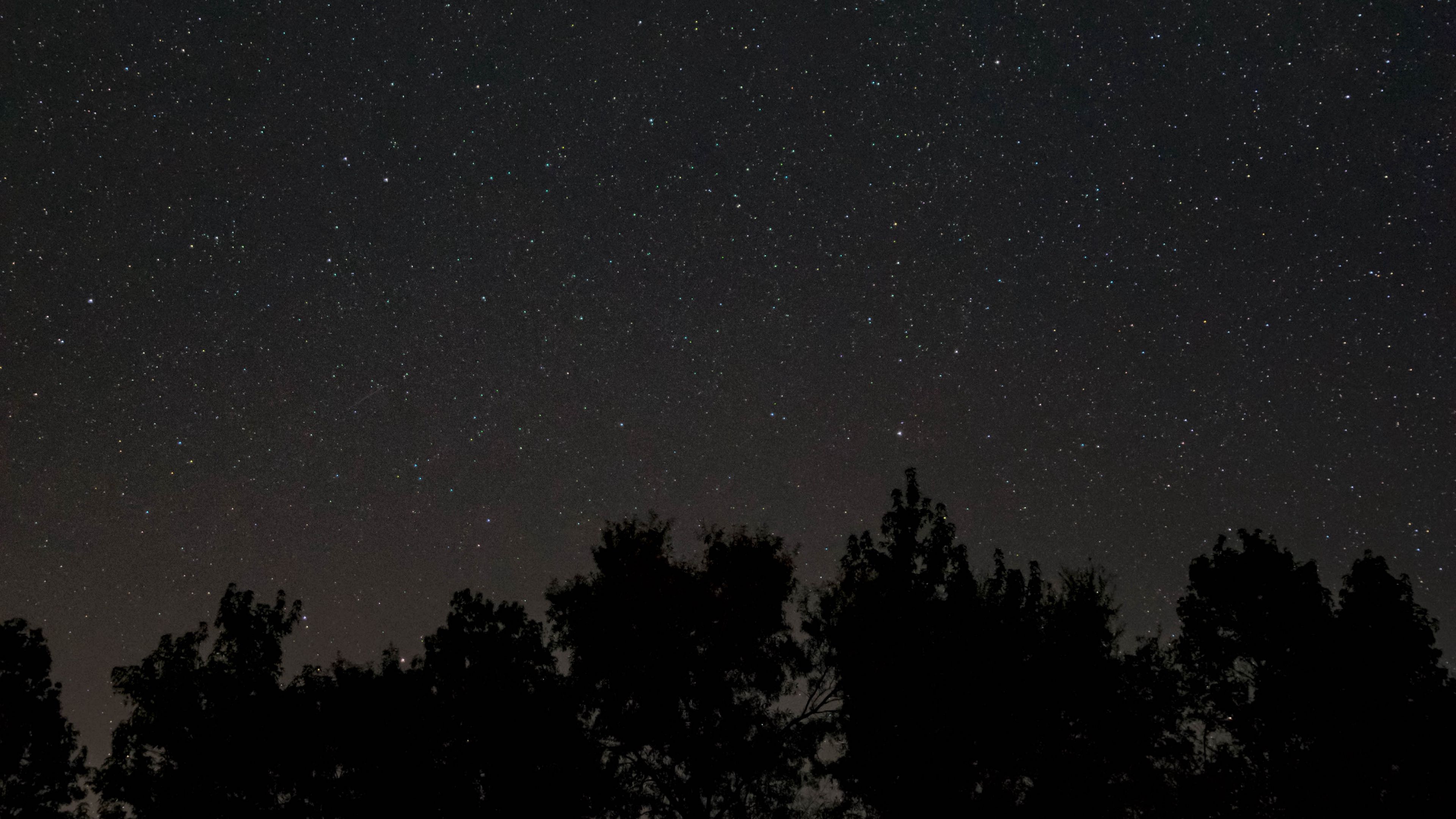 starry sky, stars, night, trees, dark, 4k, HD Wallpaper
