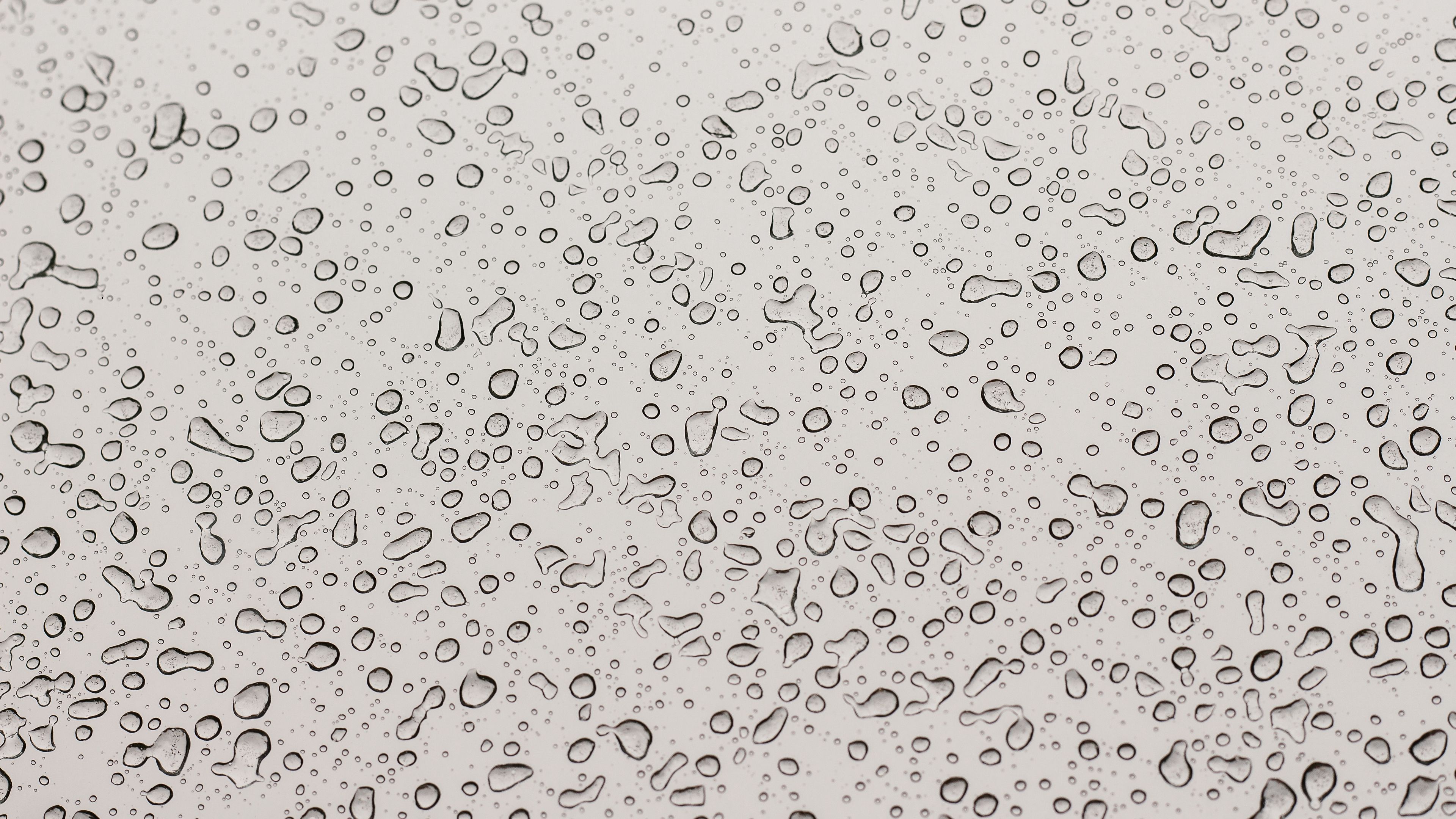 drops, surface, moist, light, 4k, HD Wallpaper