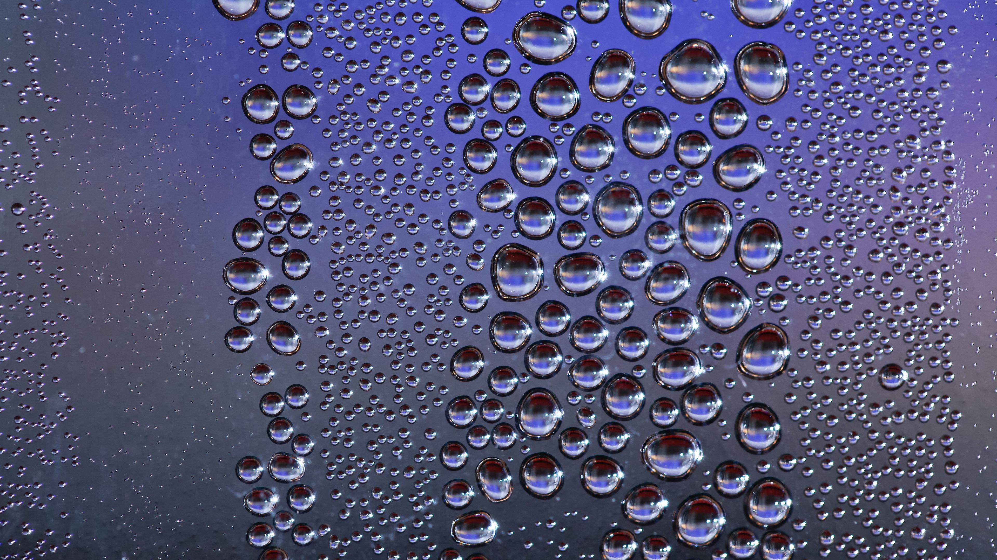 drops, close-up, surface, moisture, 4k, HD Wallpaper